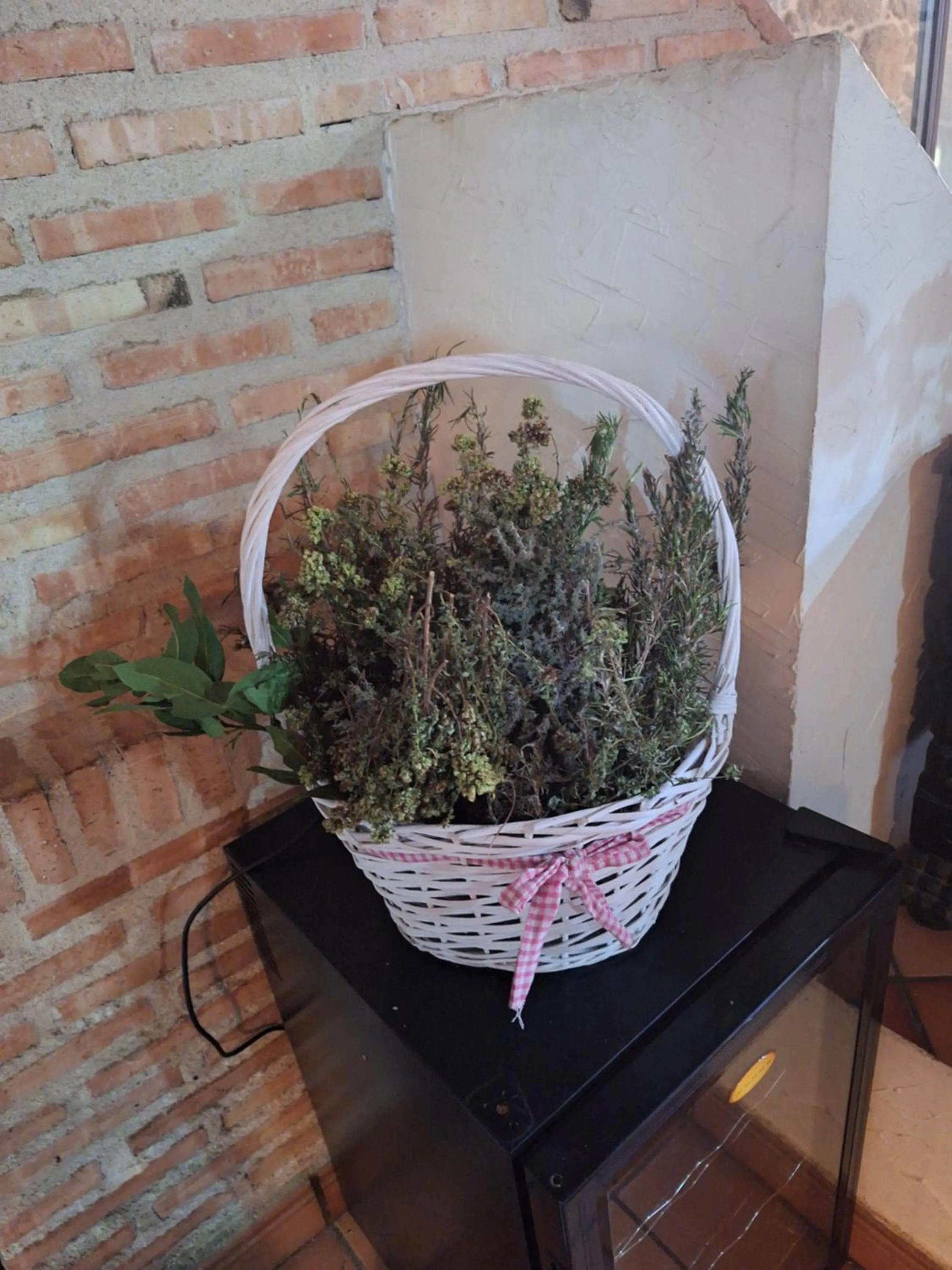 Hostal el patio restaurante