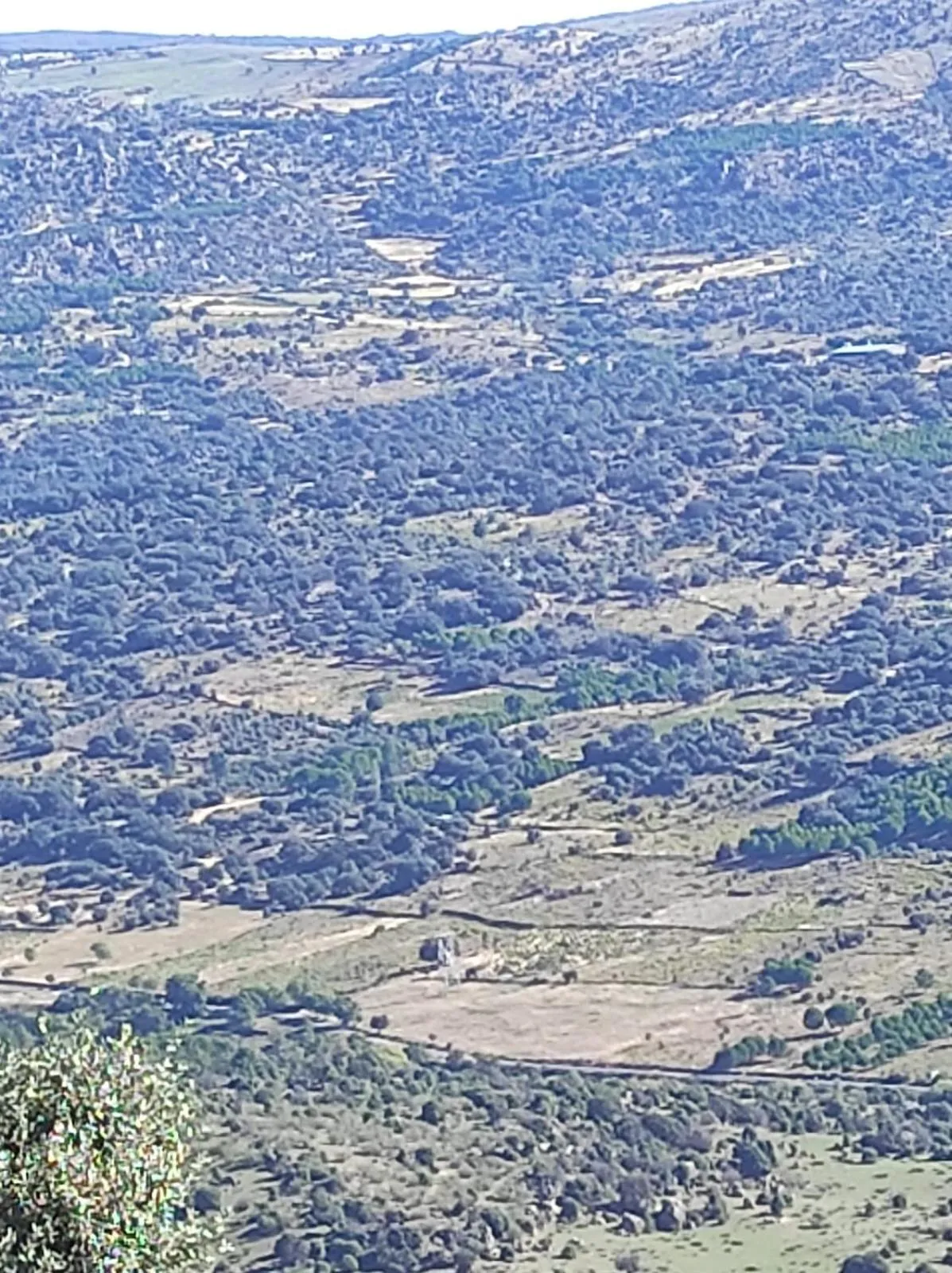 Hostal el patio restaurante