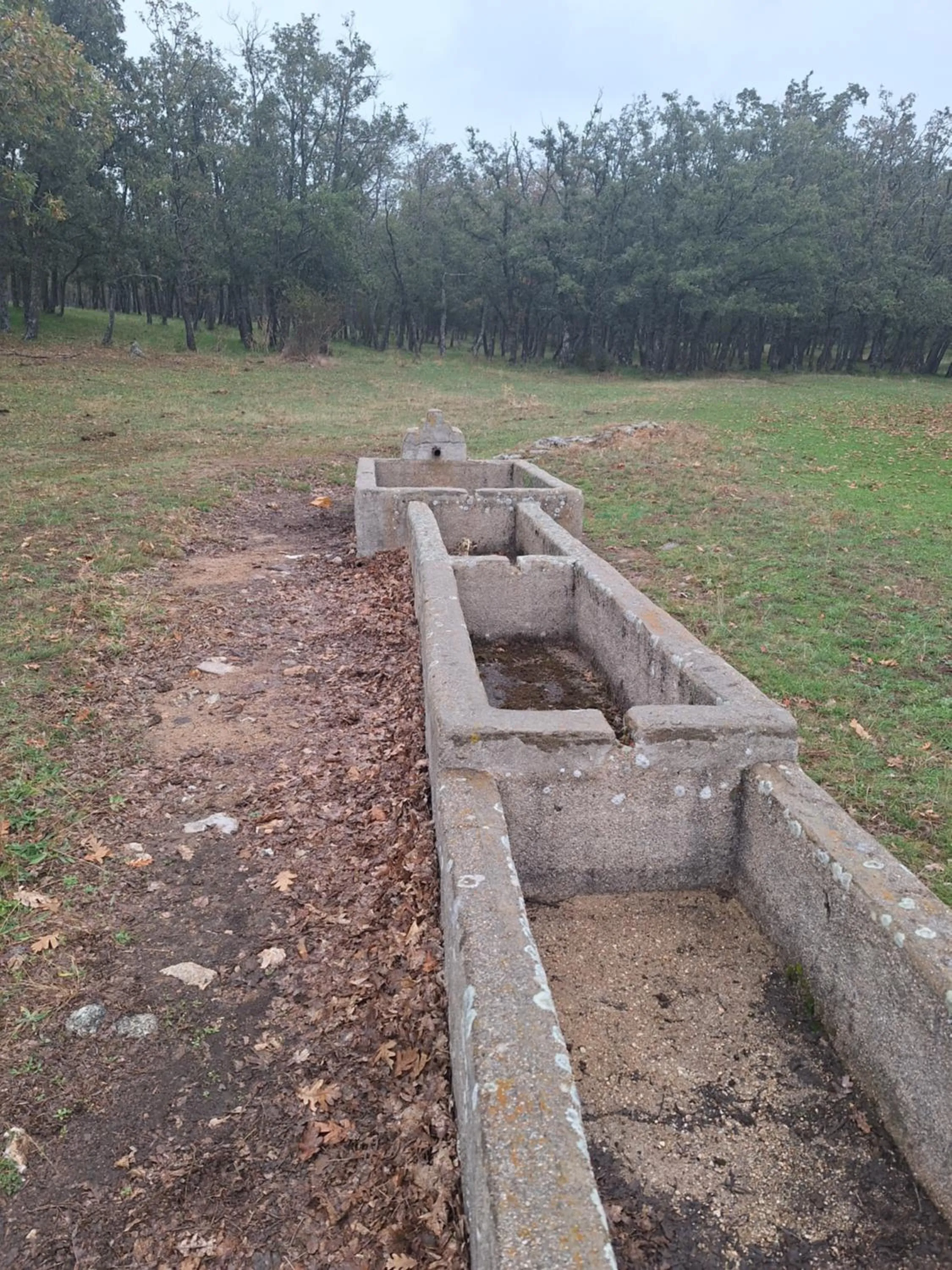 Hostal el patio restaurante