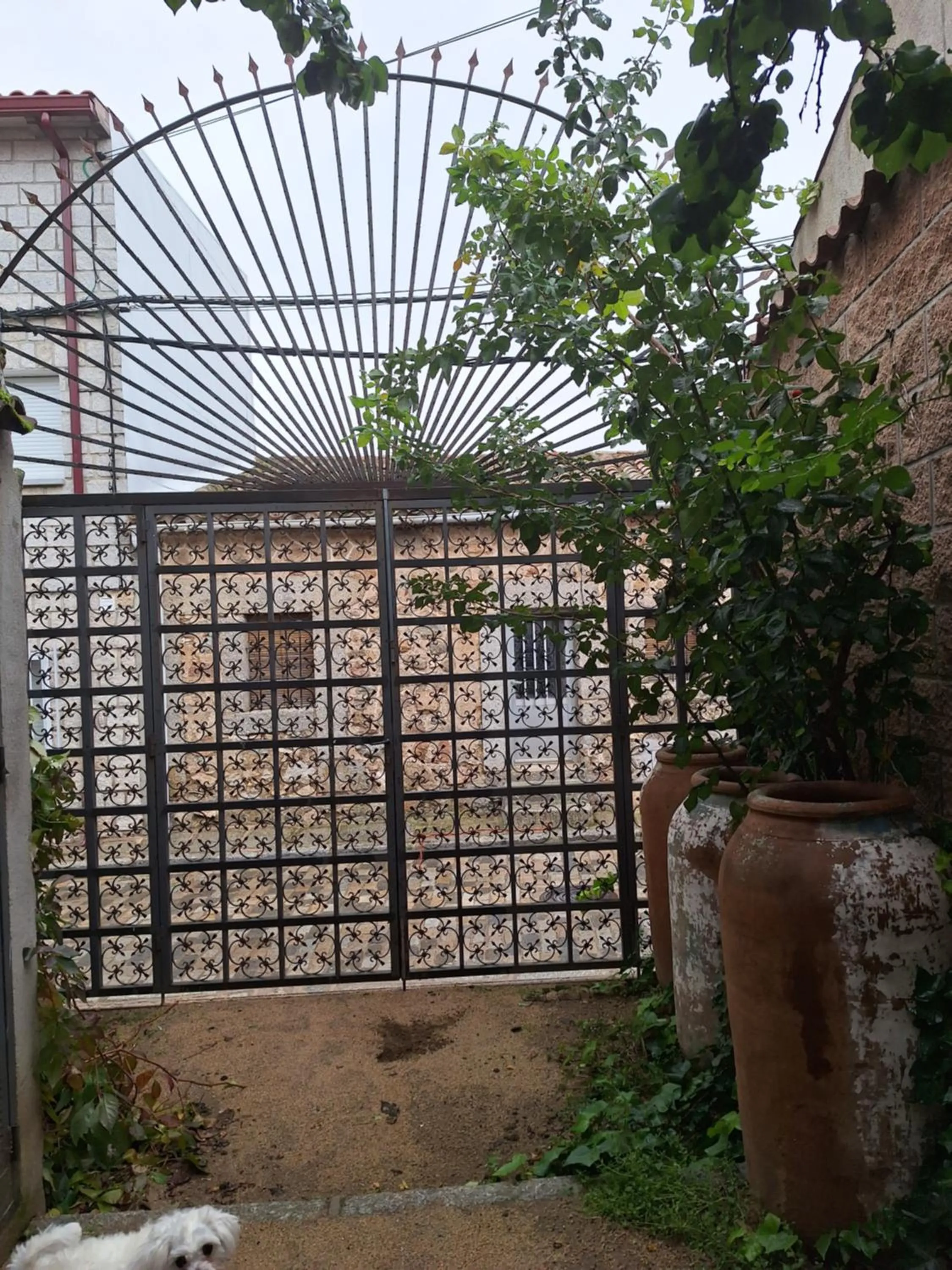 Hostal el patio restaurante