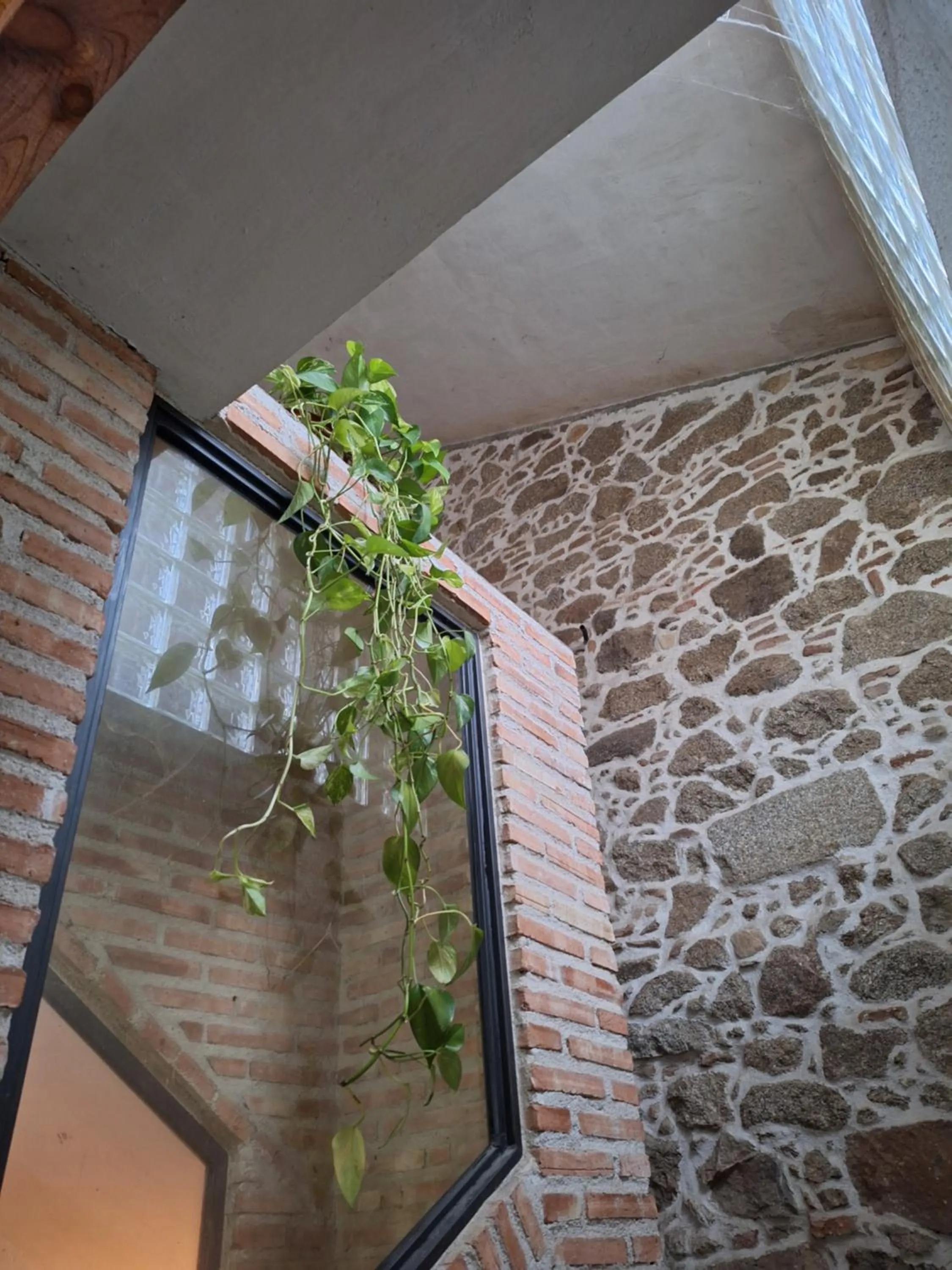 Hostal el patio restaurante