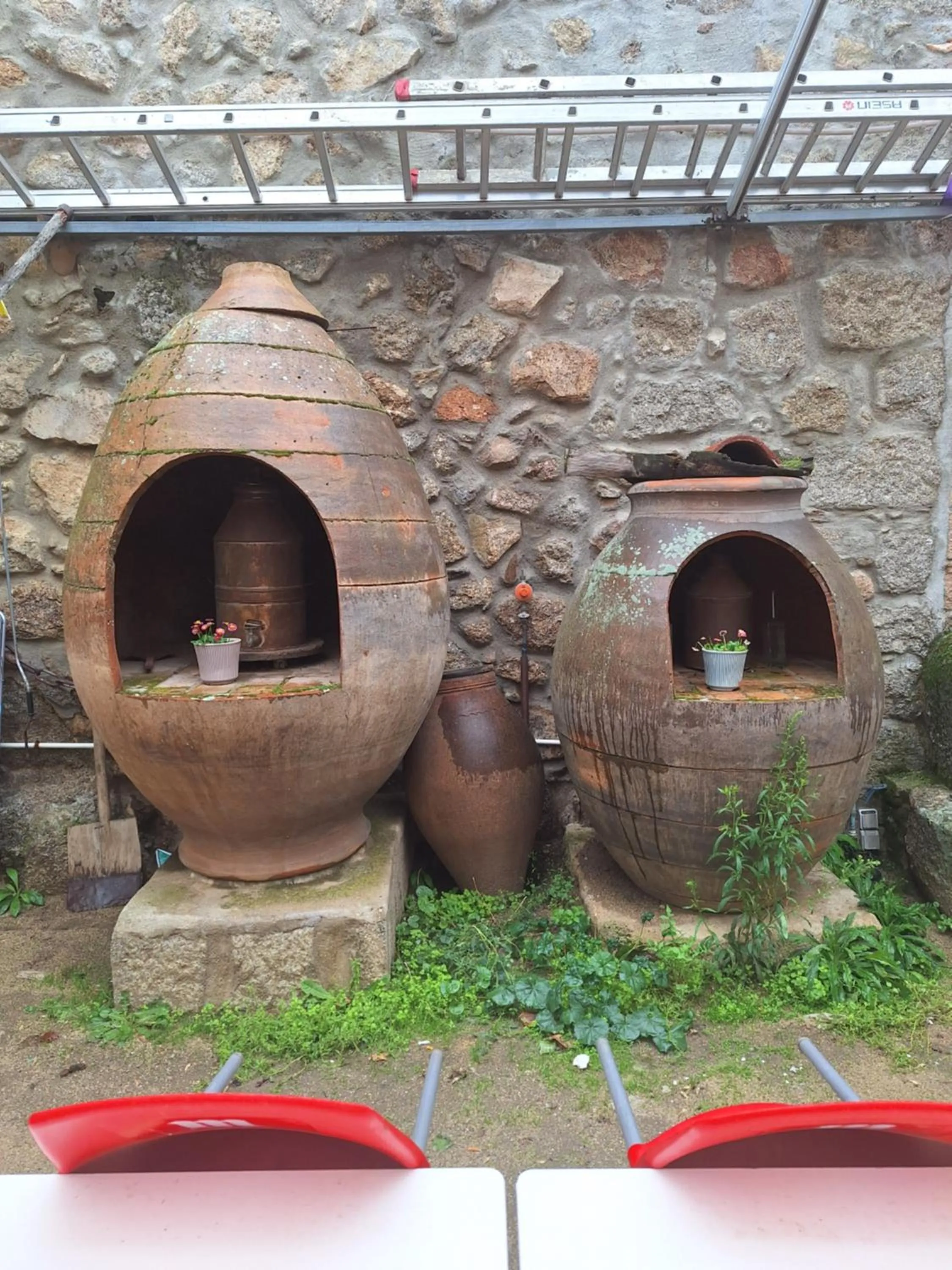 Hostal el patio restaurante