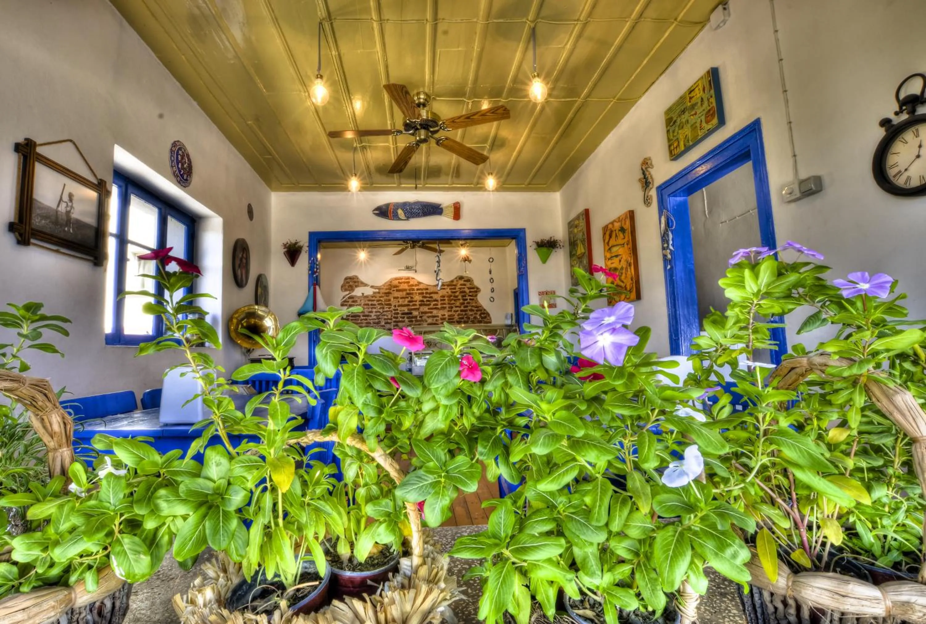 Restaurant/places to eat in Cunda Mavi Hotel