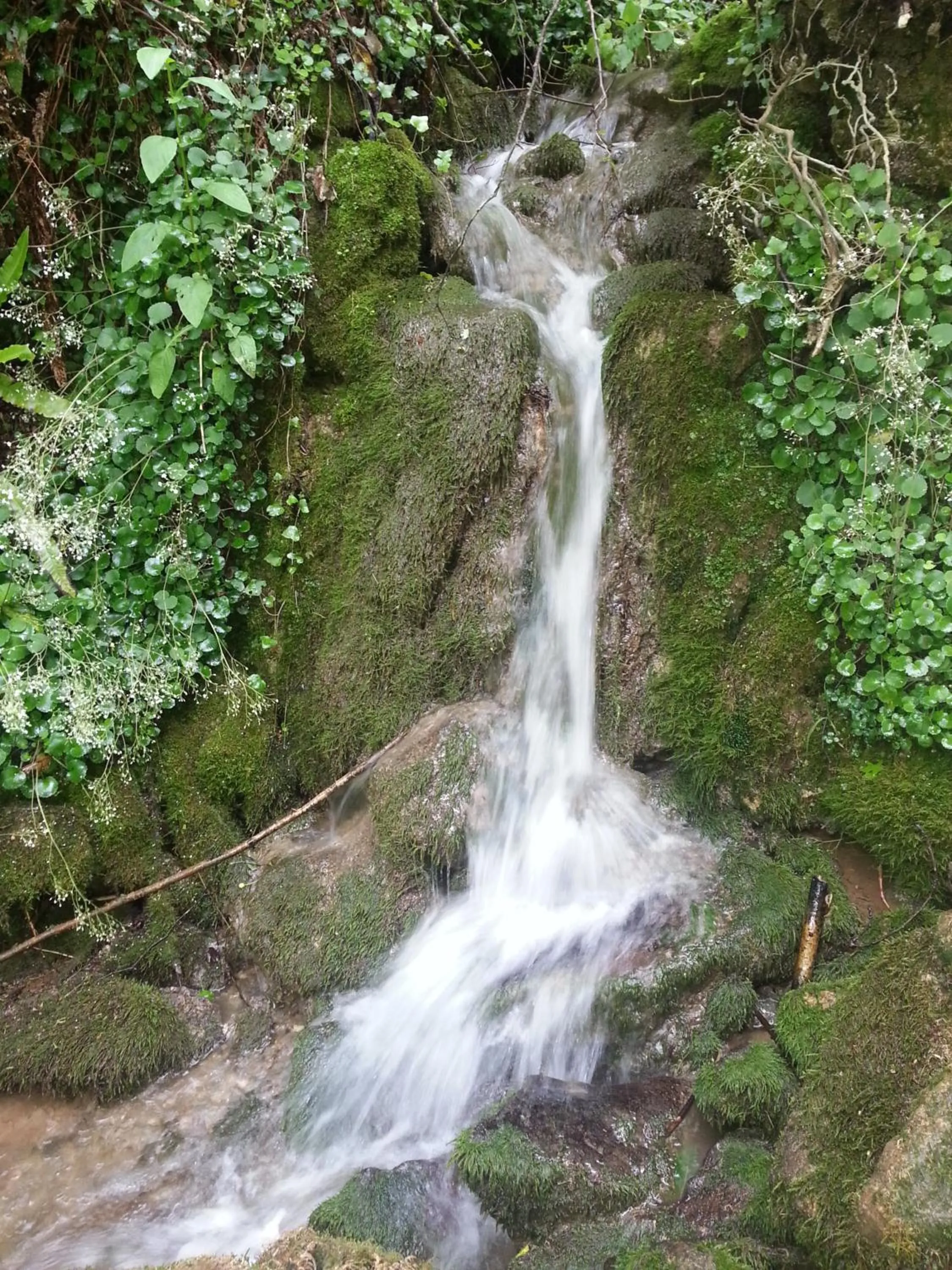 Hiking in Alojamiento Calzada Romana