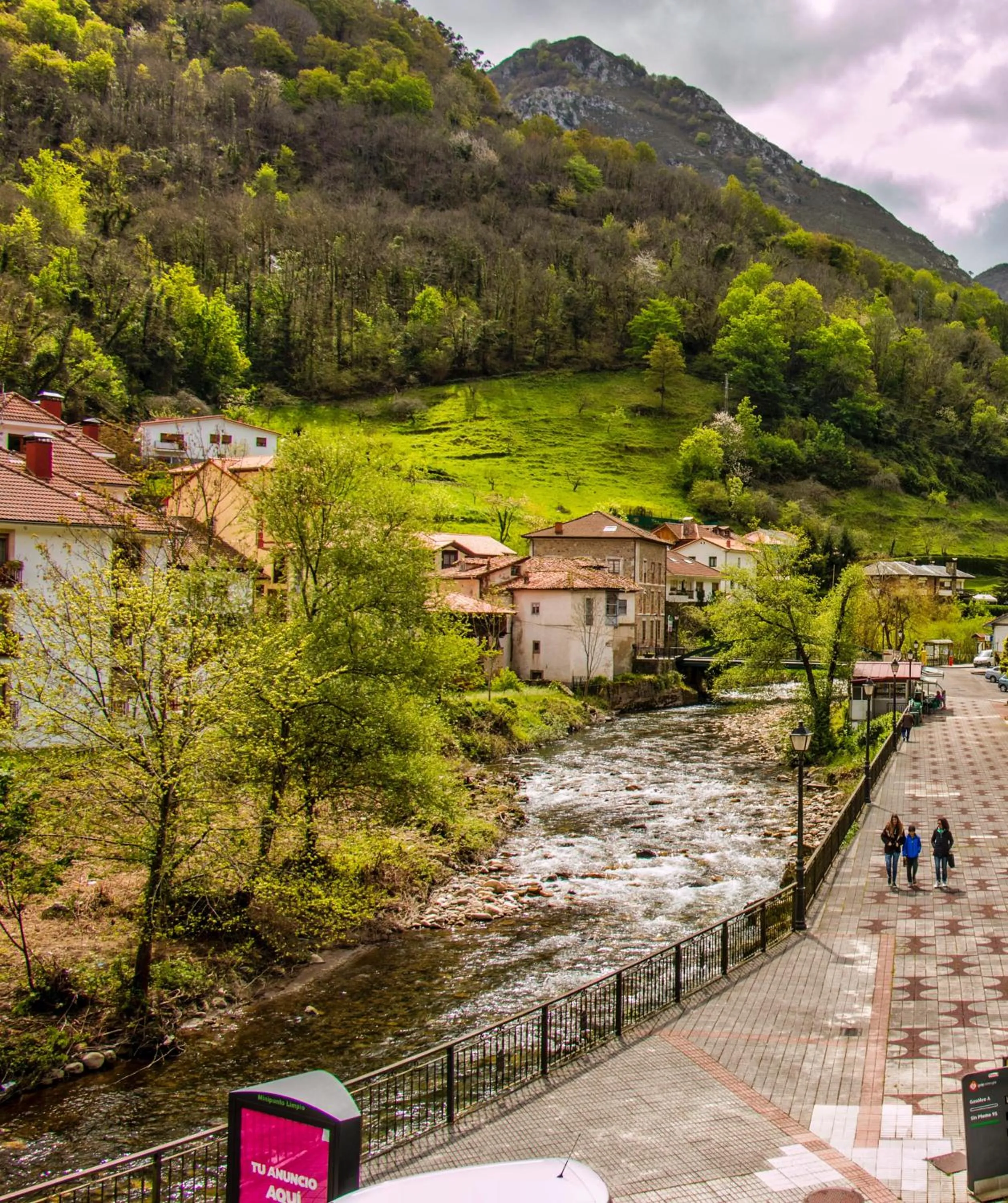 Garden view in Alojamiento Calzada Romana