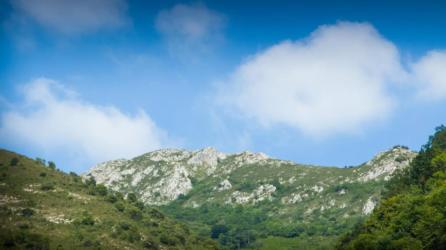 Other in Alojamiento Calzada Romana