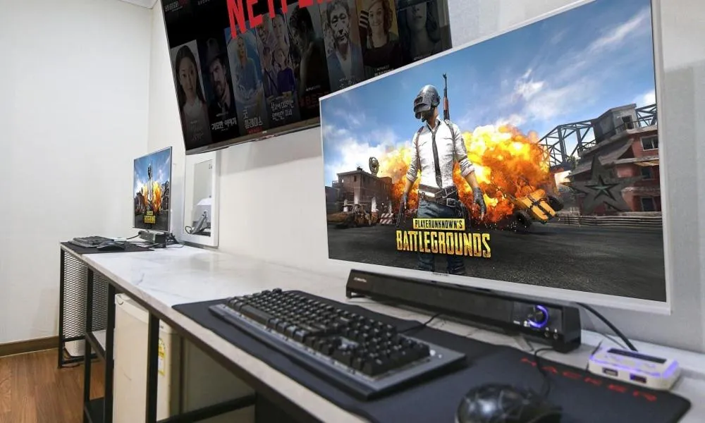 Evening entertainment in Hotel Feel Green