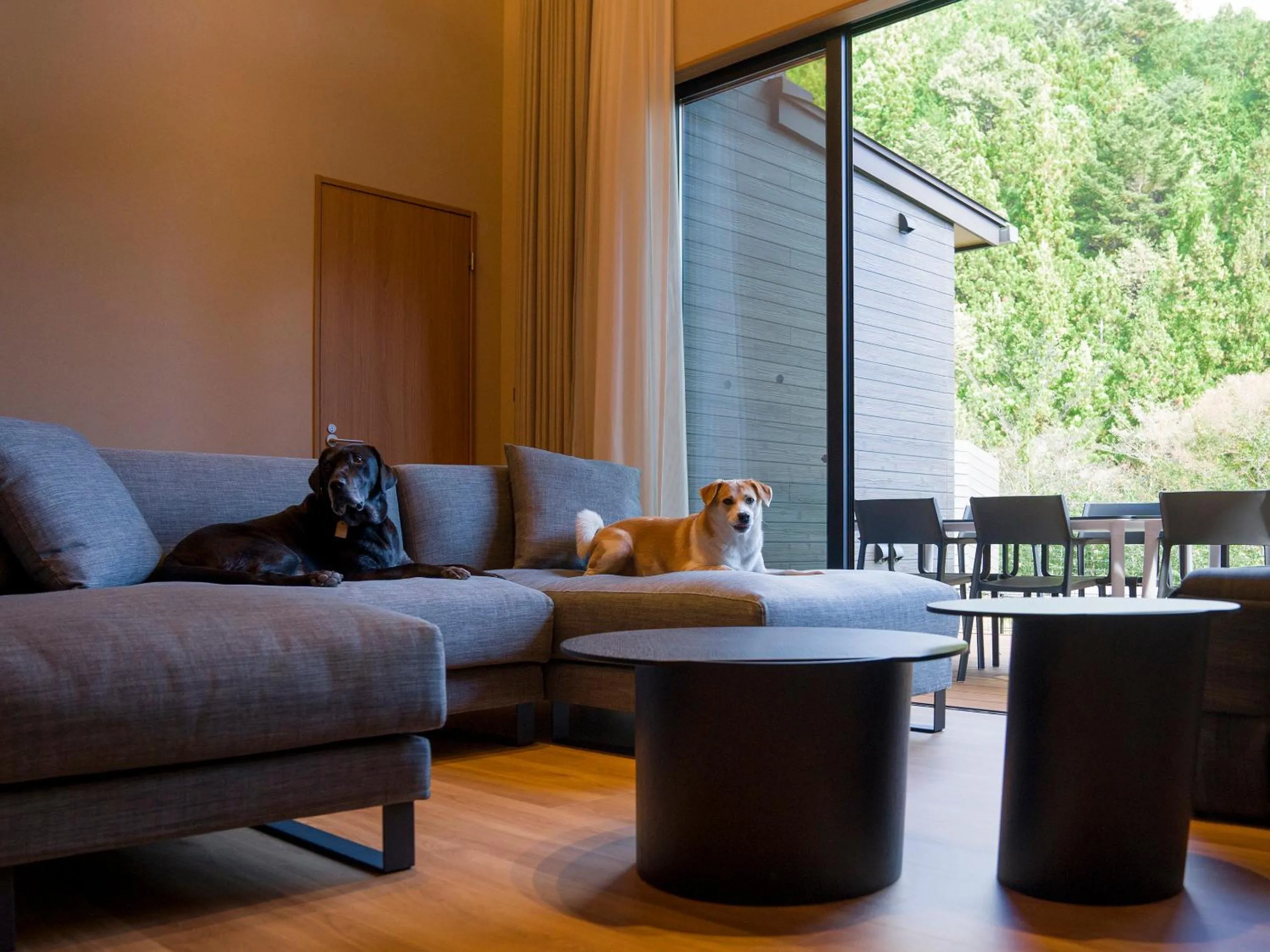 Pets in Rakuten STAY VILLA Nikko