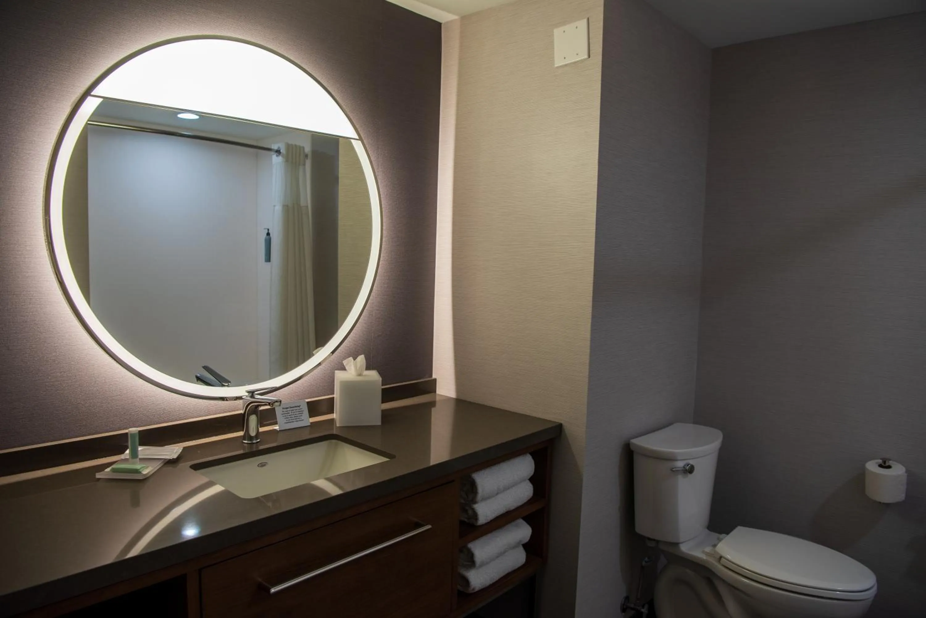 Bathroom in Courtyard by Marriott Lake City