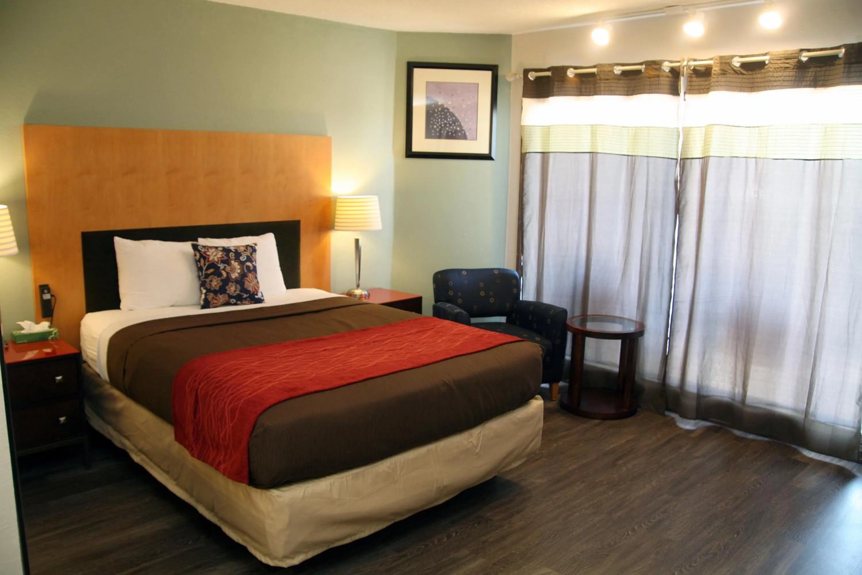 Photo of the whole room in South T Motel