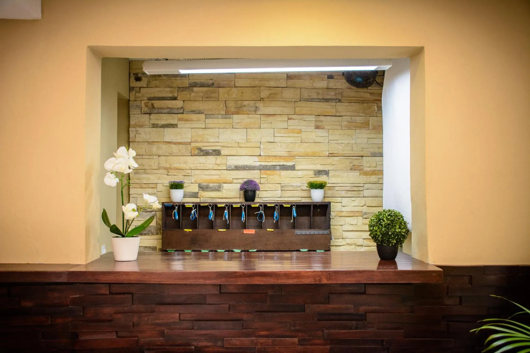 Lobby or reception in Hotel Sayab 5ta Avenida