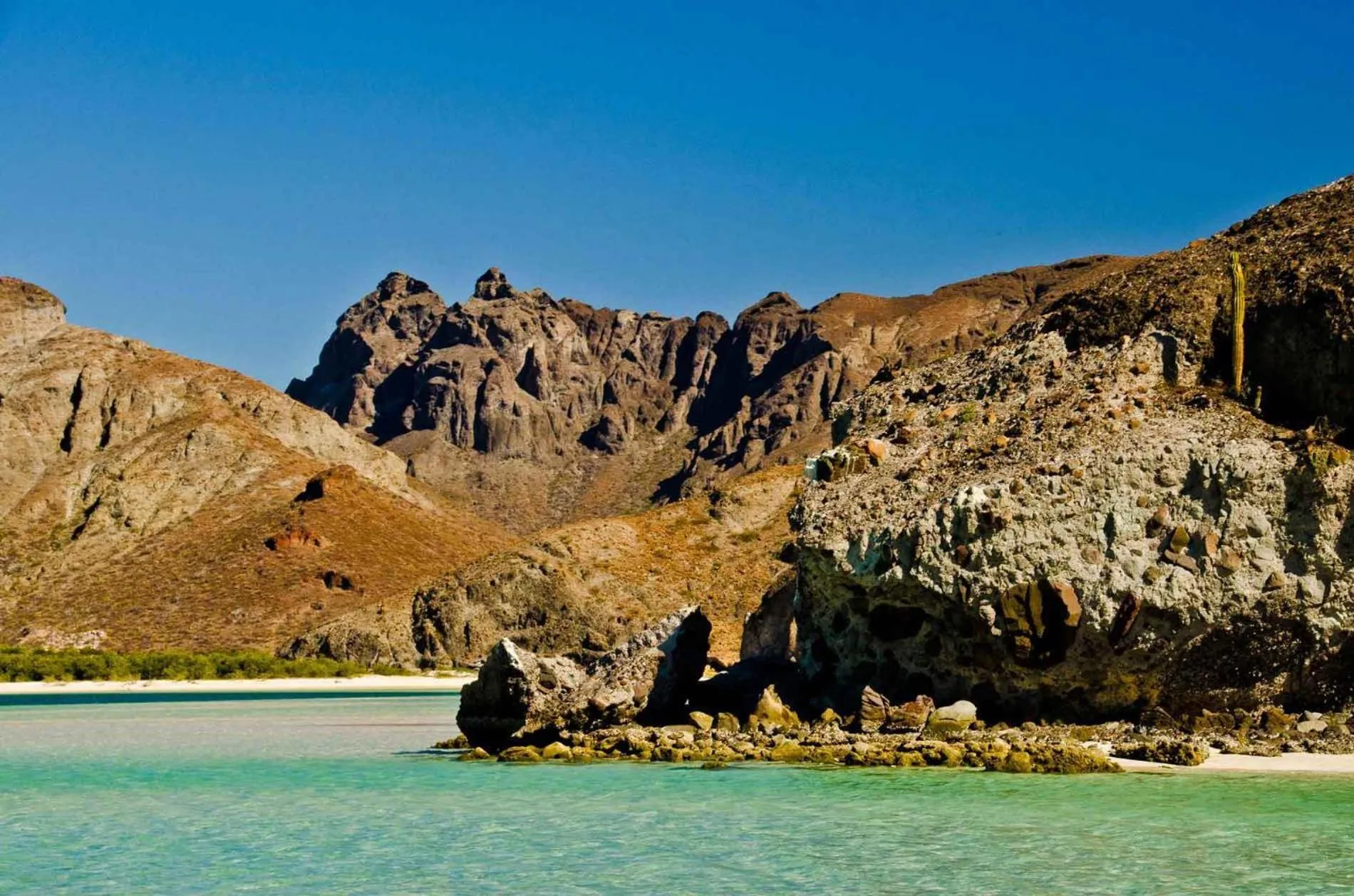 Natural landscape in Rancho Las Cruces