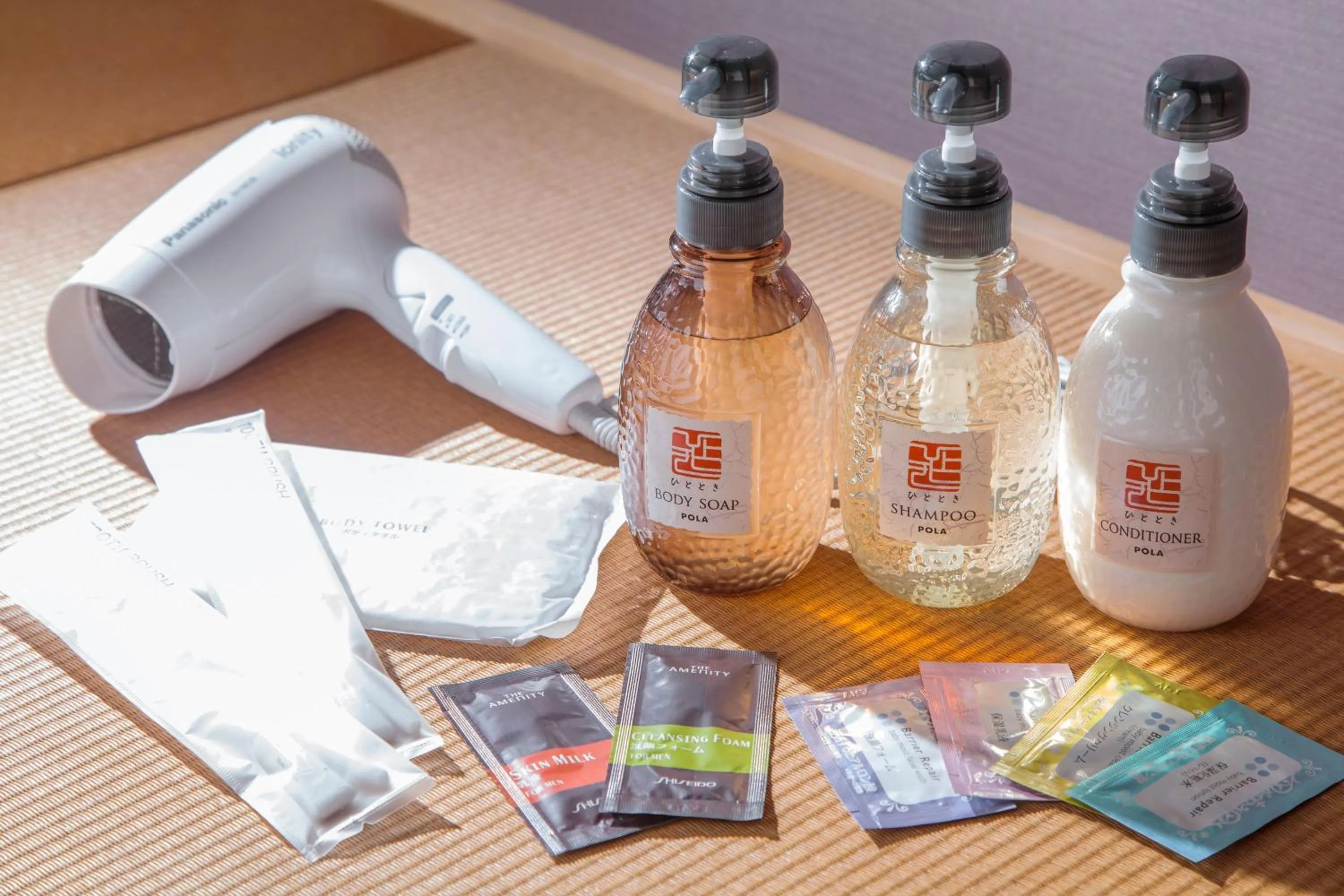 hair dryier in HOTEL MYSTAYS PREMIER Kanazawa