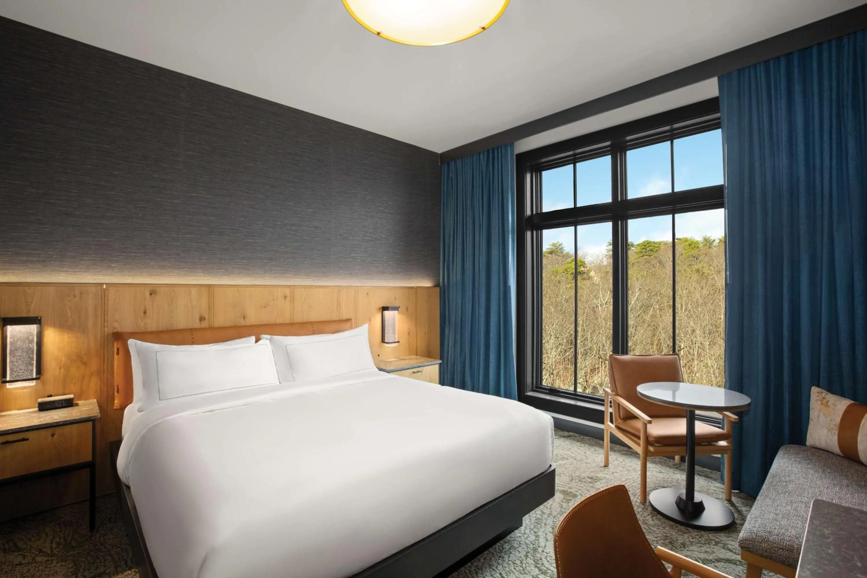 Photo of the whole room, Bed in Cloudland at McLemore Resort Lookout Mountain, Curio by Hilton