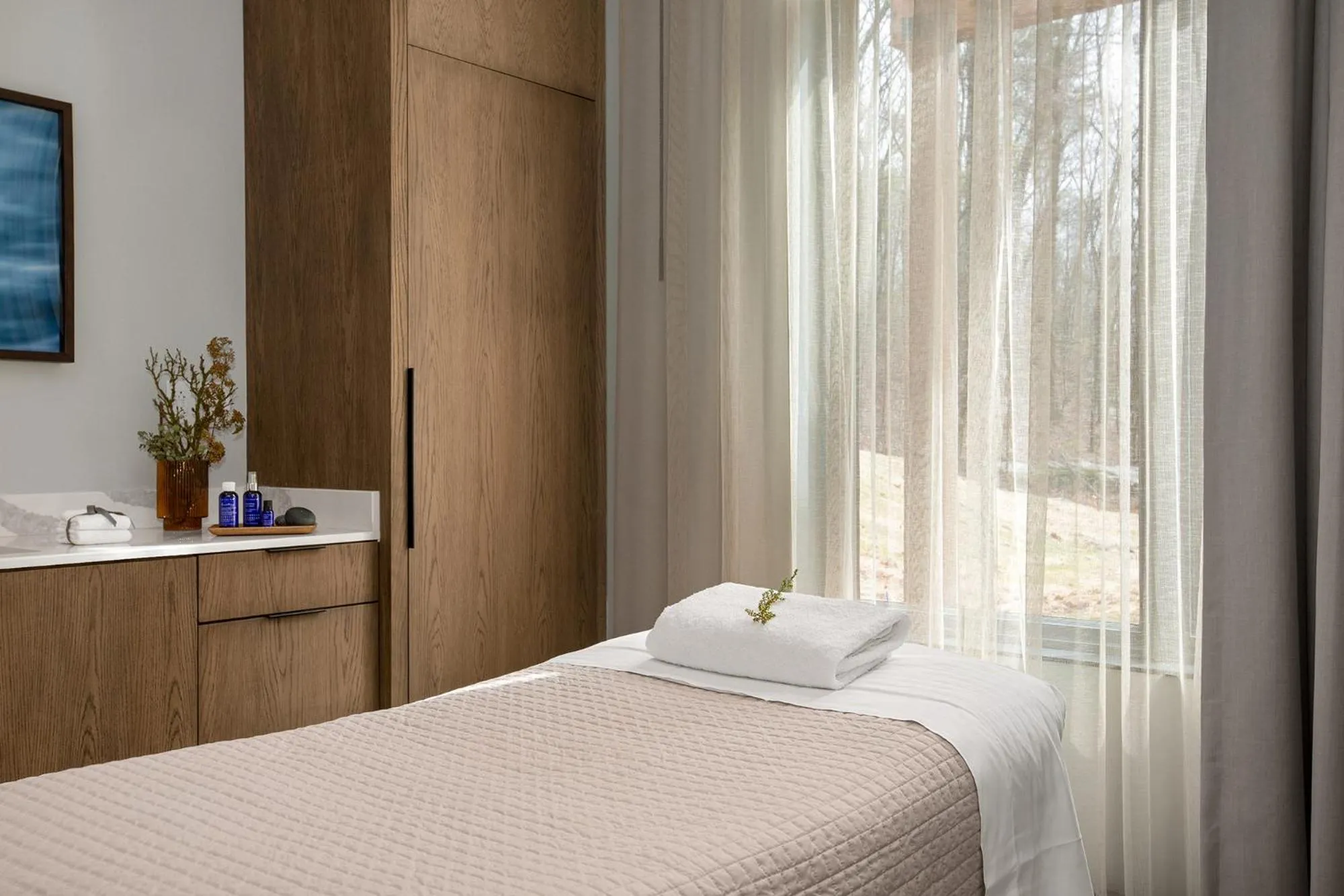 Spa and wellness centre/facilities, Bed in Cloudland at McLemore Resort Lookout Mountain, Curio by Hilton