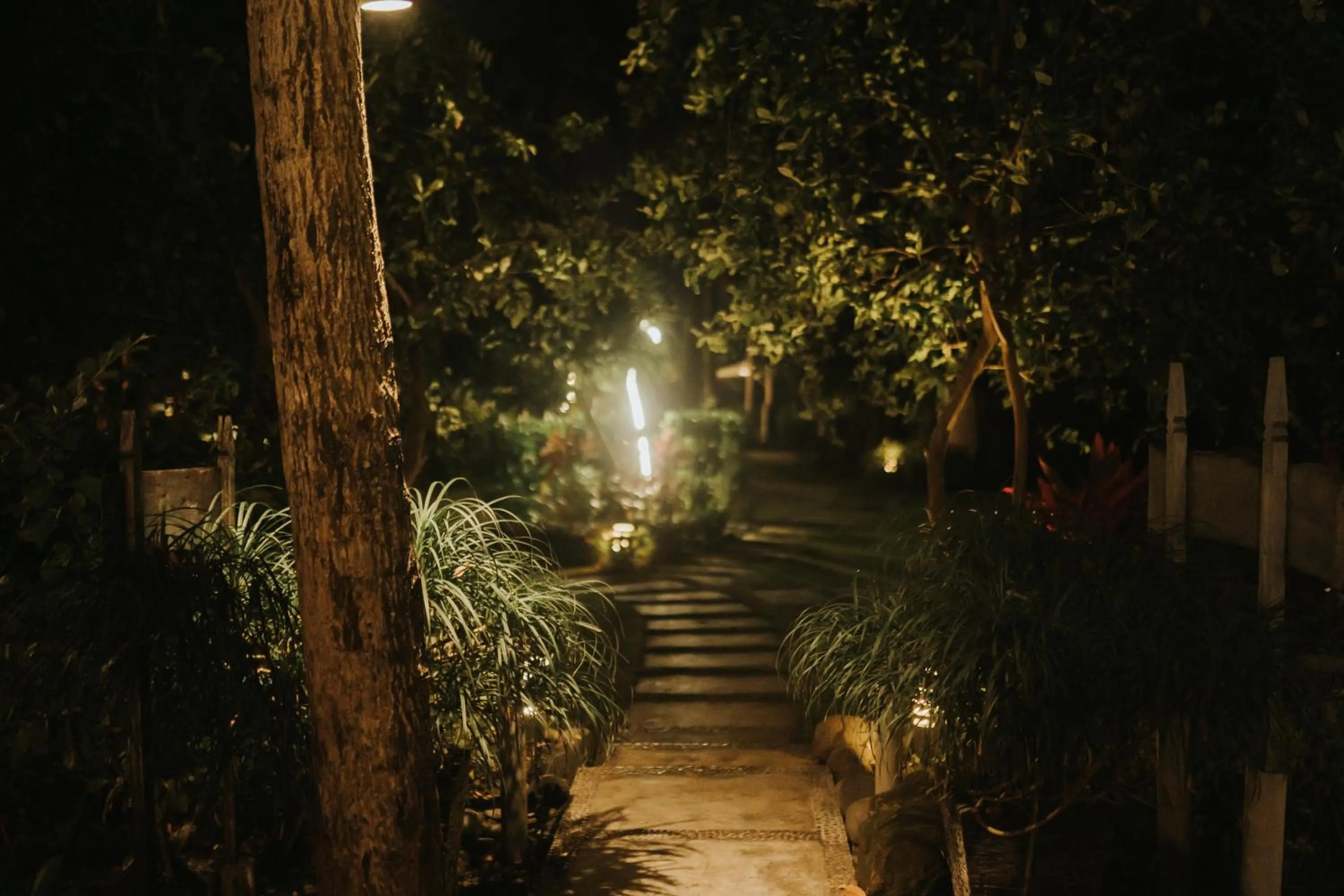 Garden view in ALOKA BAHARI Villas