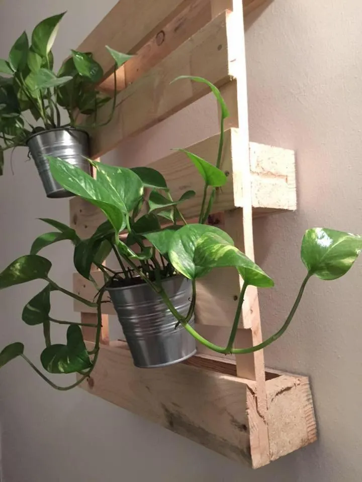 Lobby or reception in Low Cost Ferrara