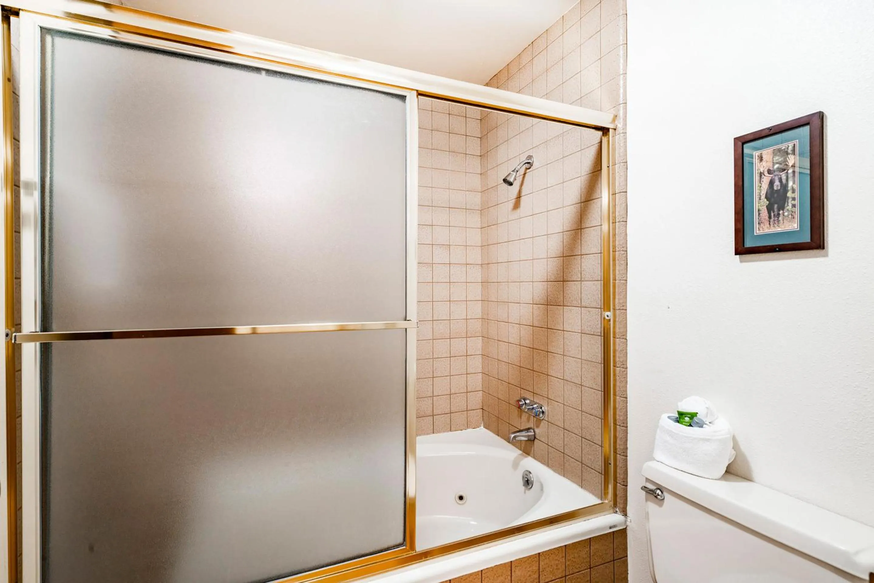 Bathroom in The Loft at Mountain Village by All Seasons Resort Lodging