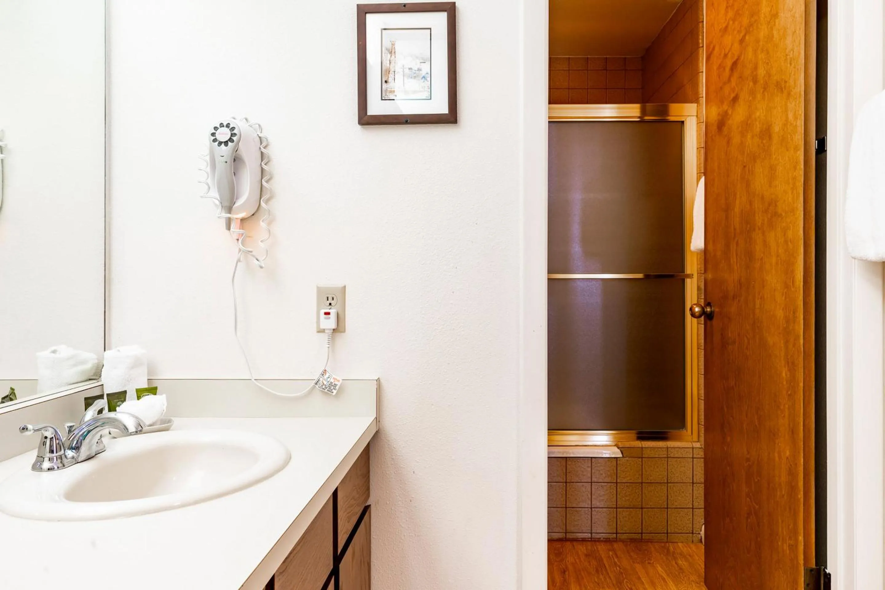 Bathroom in The Loft at Mountain Village by All Seasons Resort Lodging