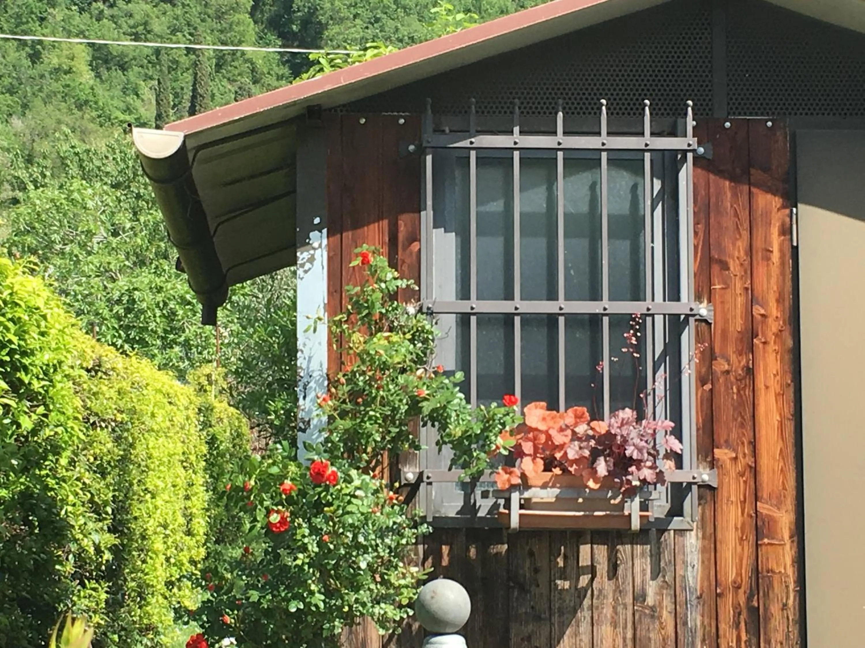 Garden view in Residence Gonda&Giuliano