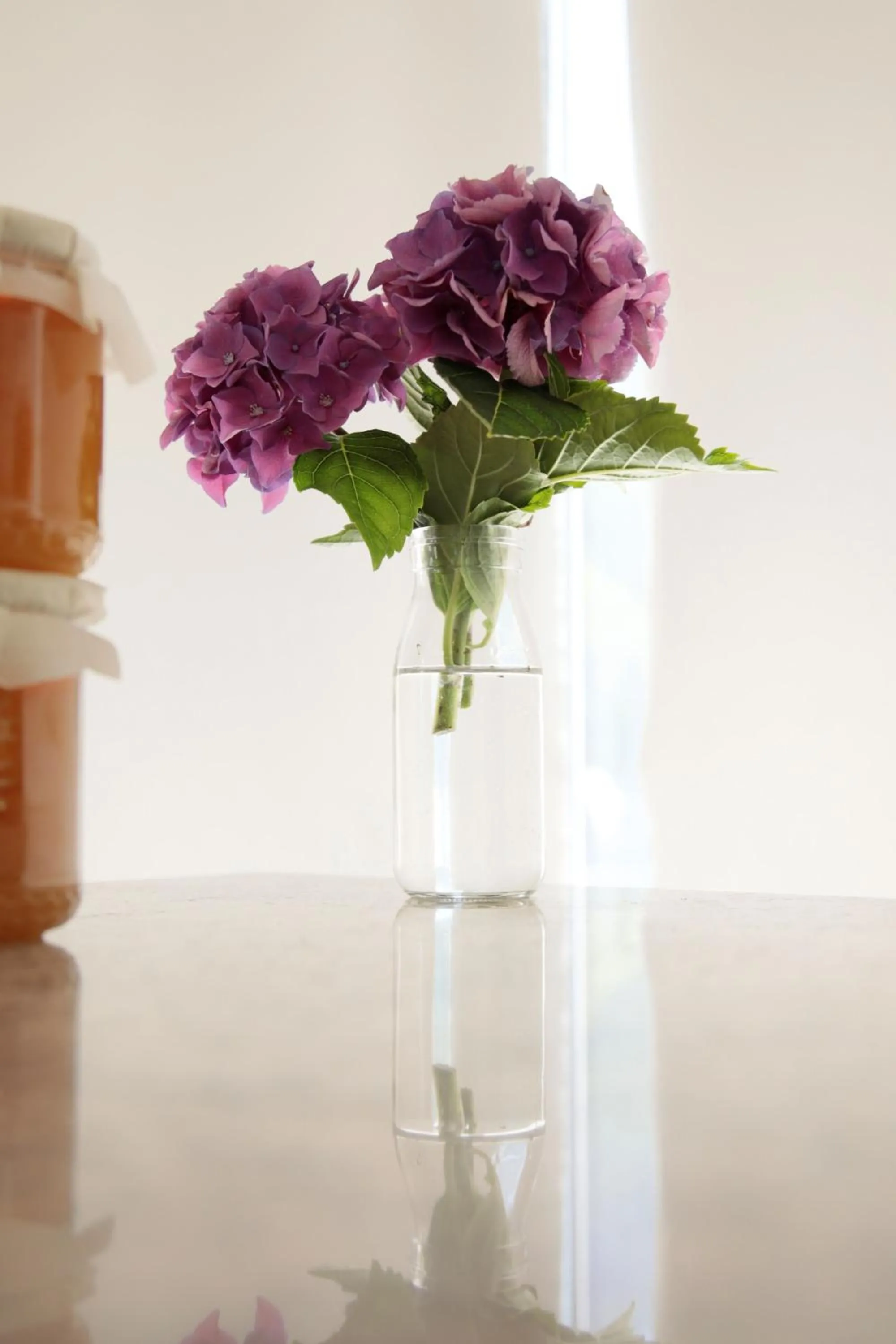 Breakfast in Residence Gonda&Giuliano