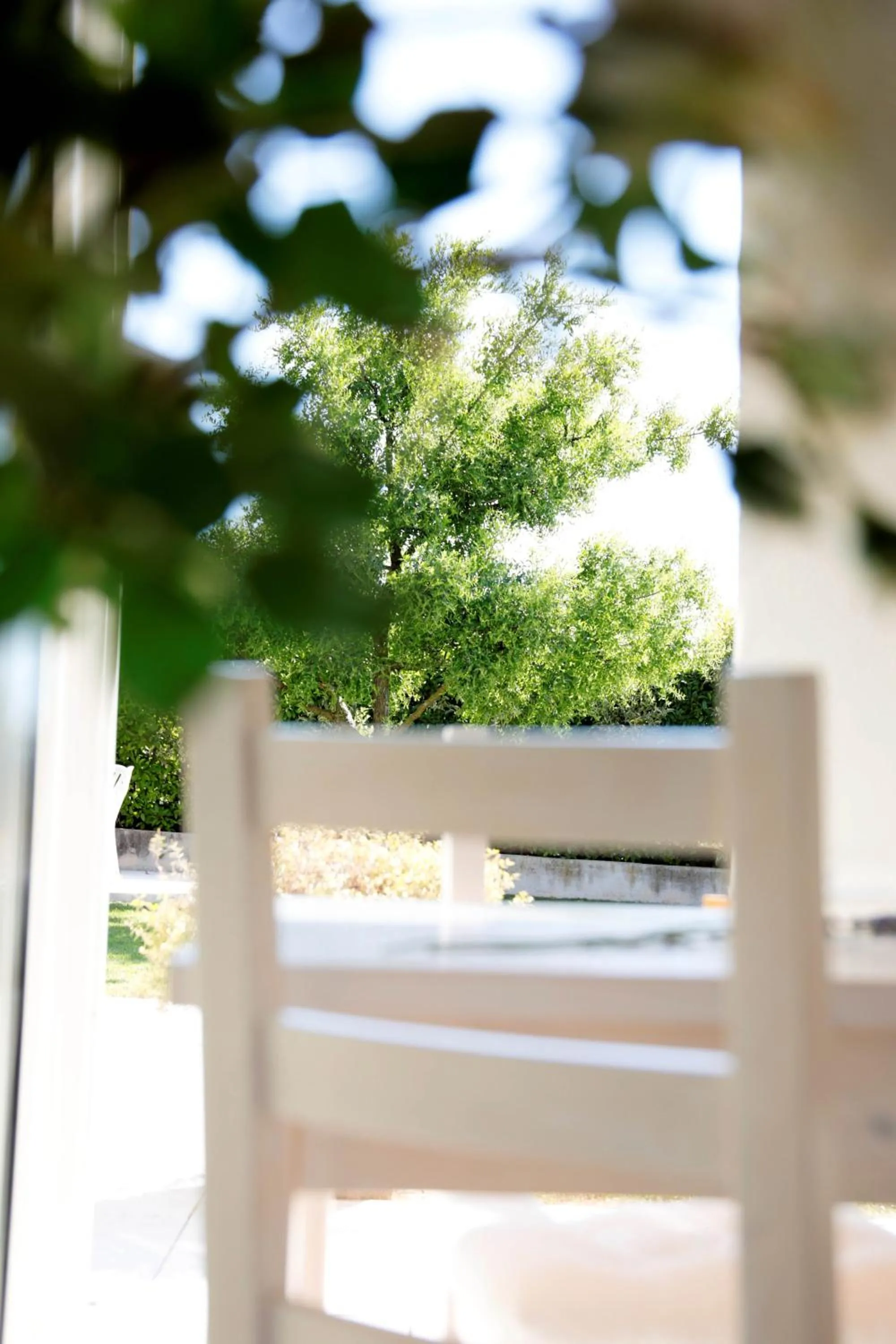 Breakfast in Residence Gonda&Giuliano