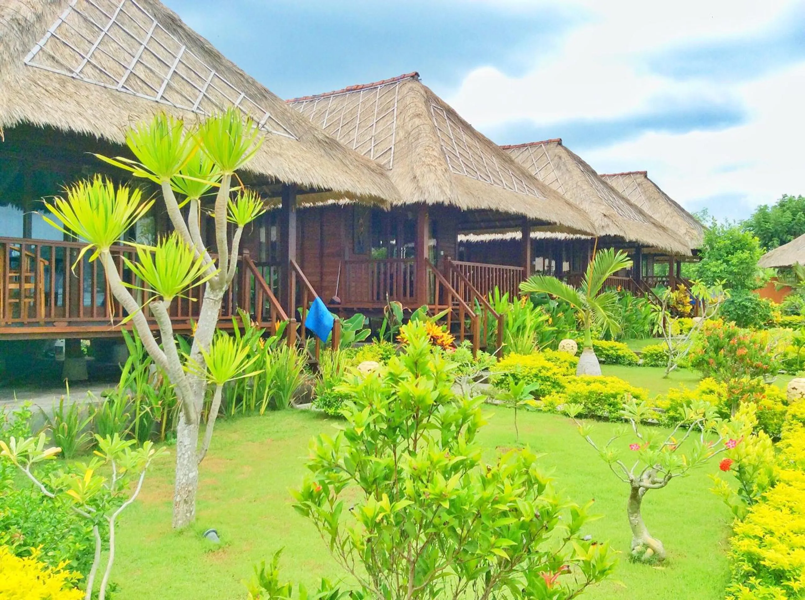 Garden in Laguna Reef Huts