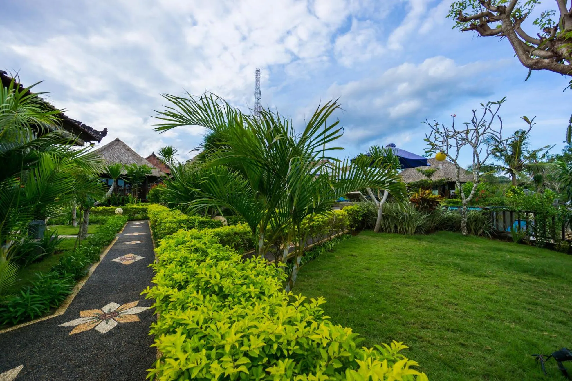 Garden in Laguna Reef Huts