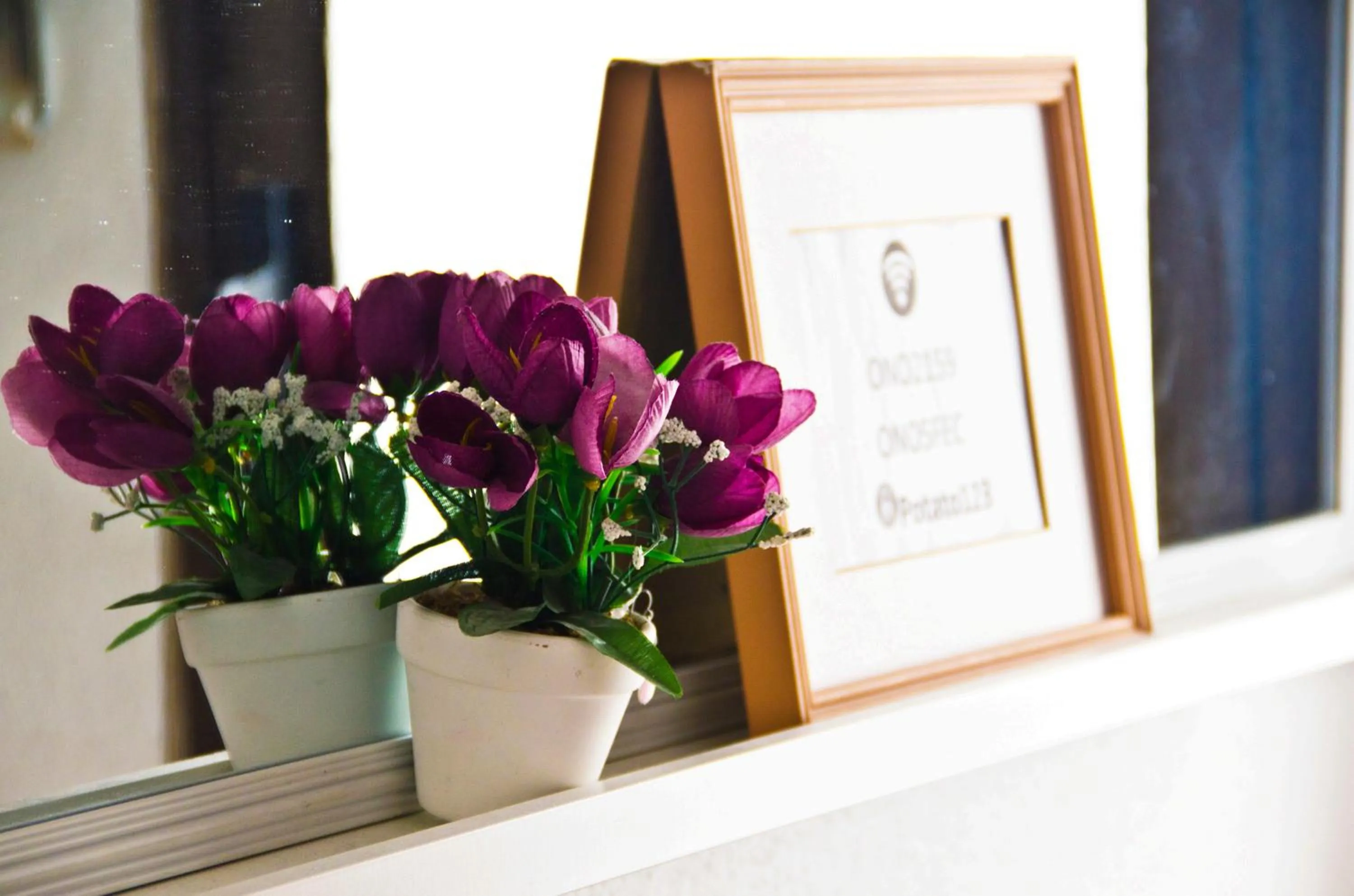 Decorative detail in Roomin Hostel