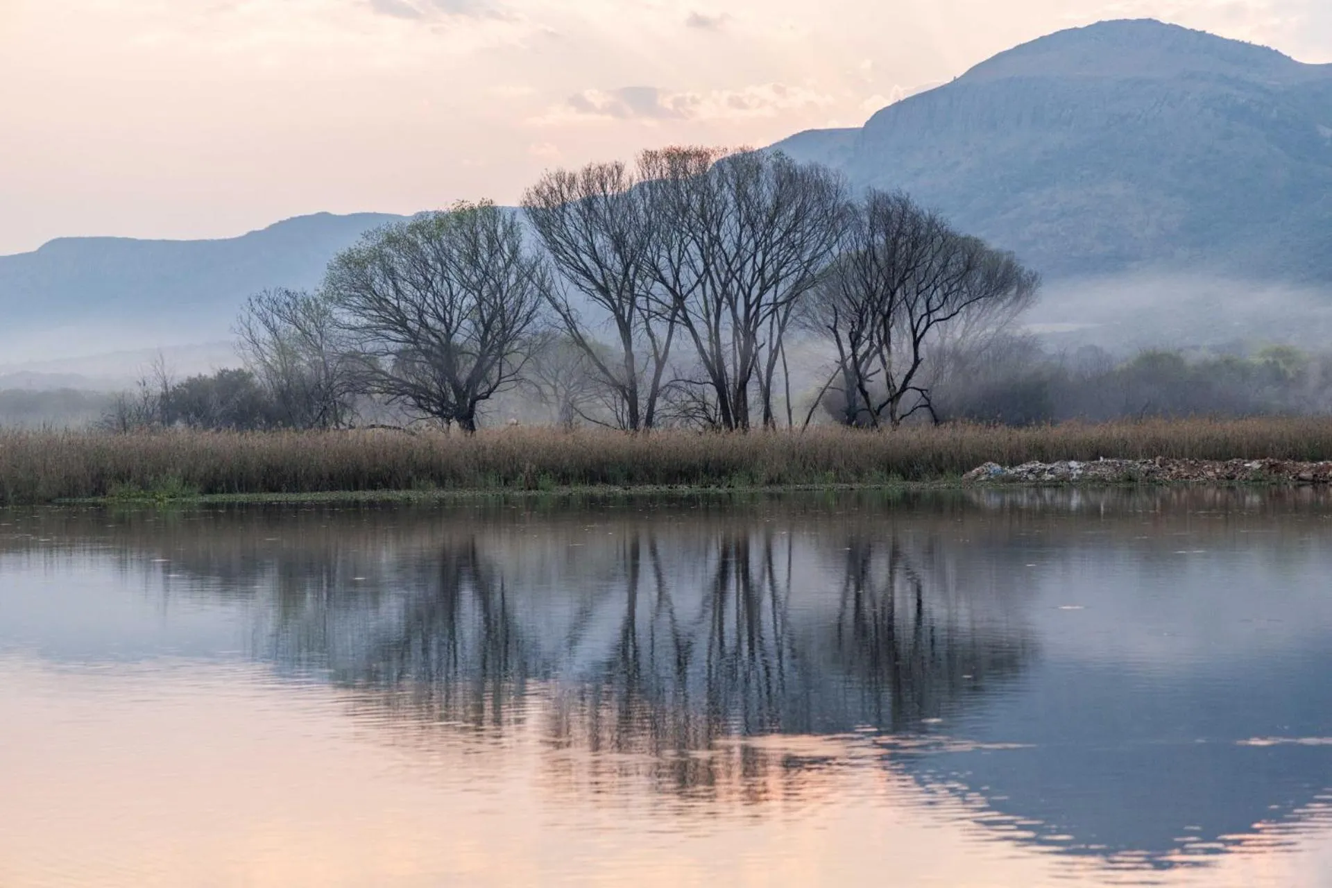 Natural landscape in First Group Magalies Park