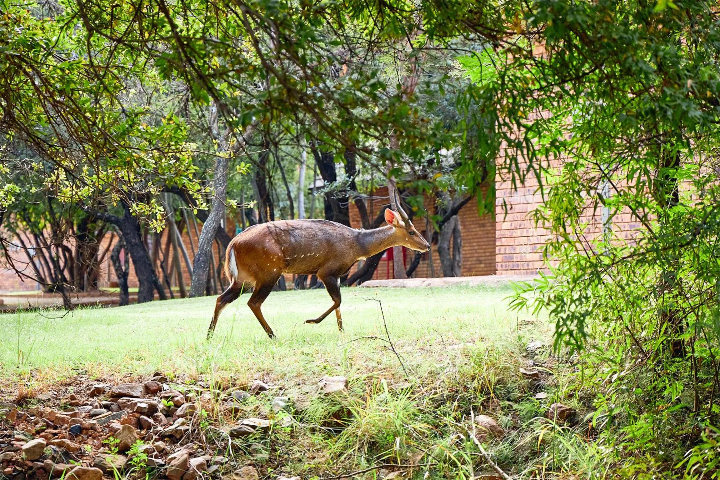 Garden in First Group Magalies Park