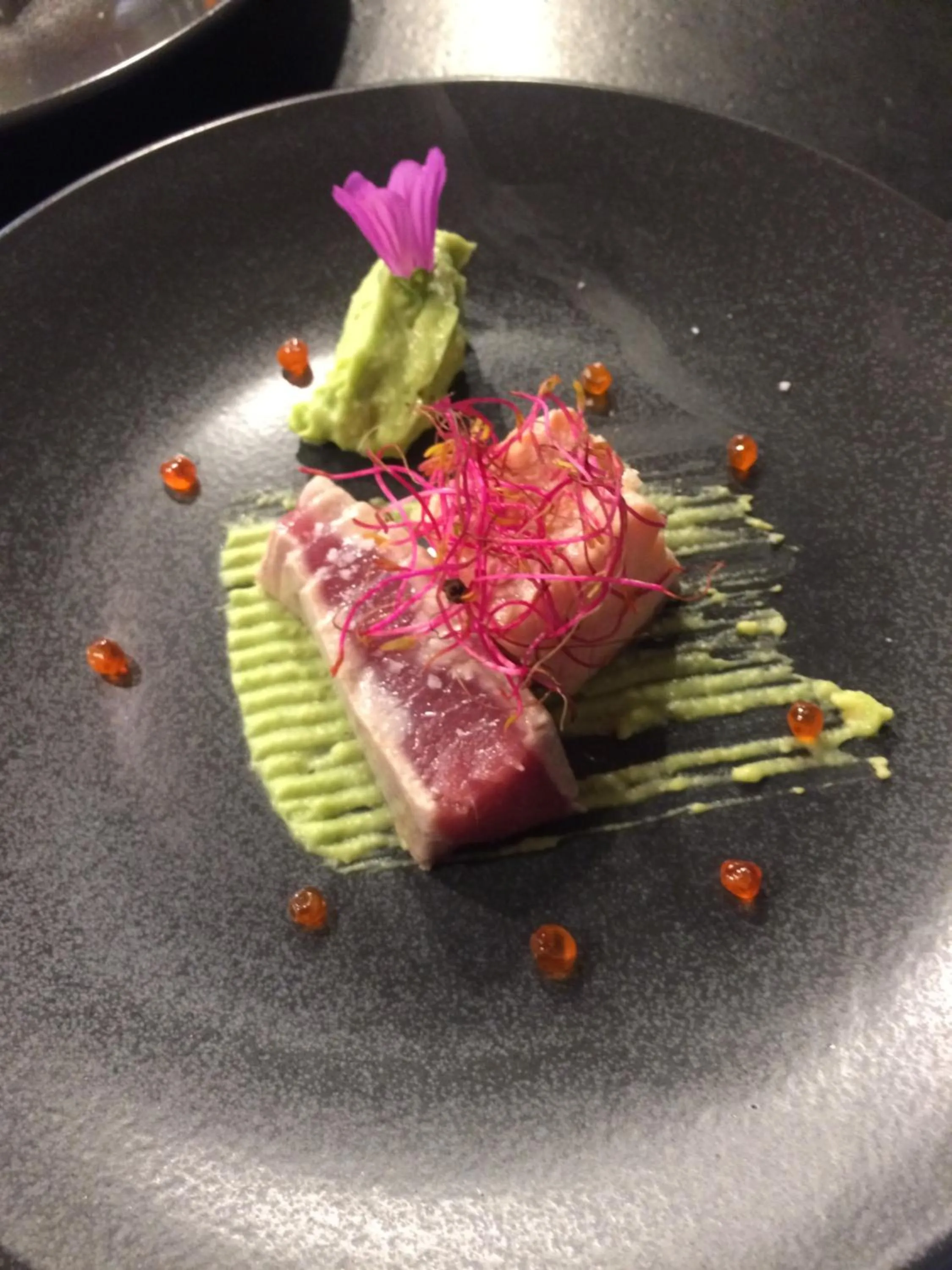 Le Trésor des Templiers