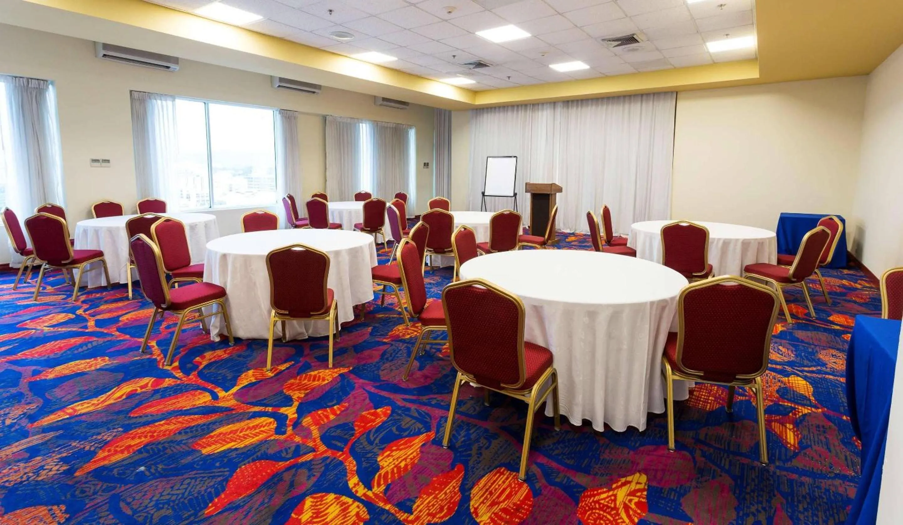 Meeting/conference room in Radisson Hotel Trinidad