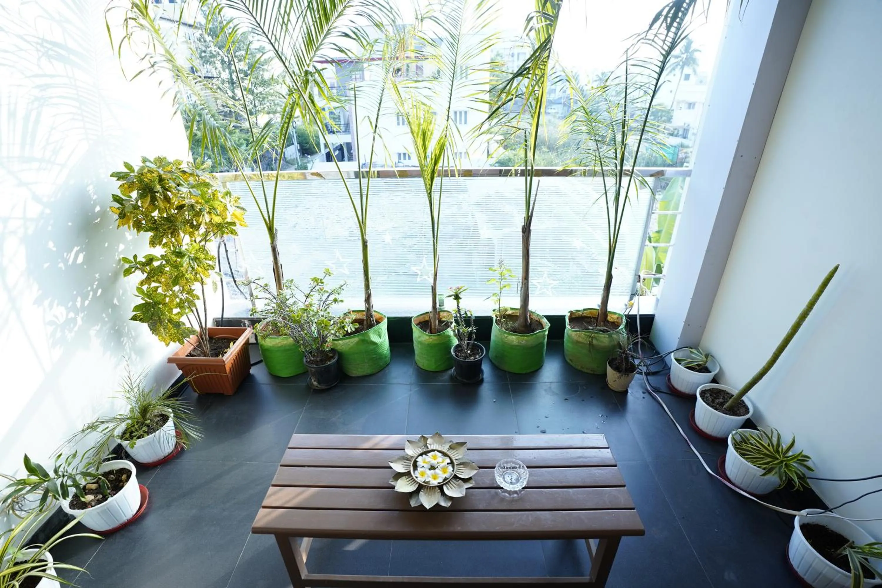 Day in DrizzleDrop Inn Chennai