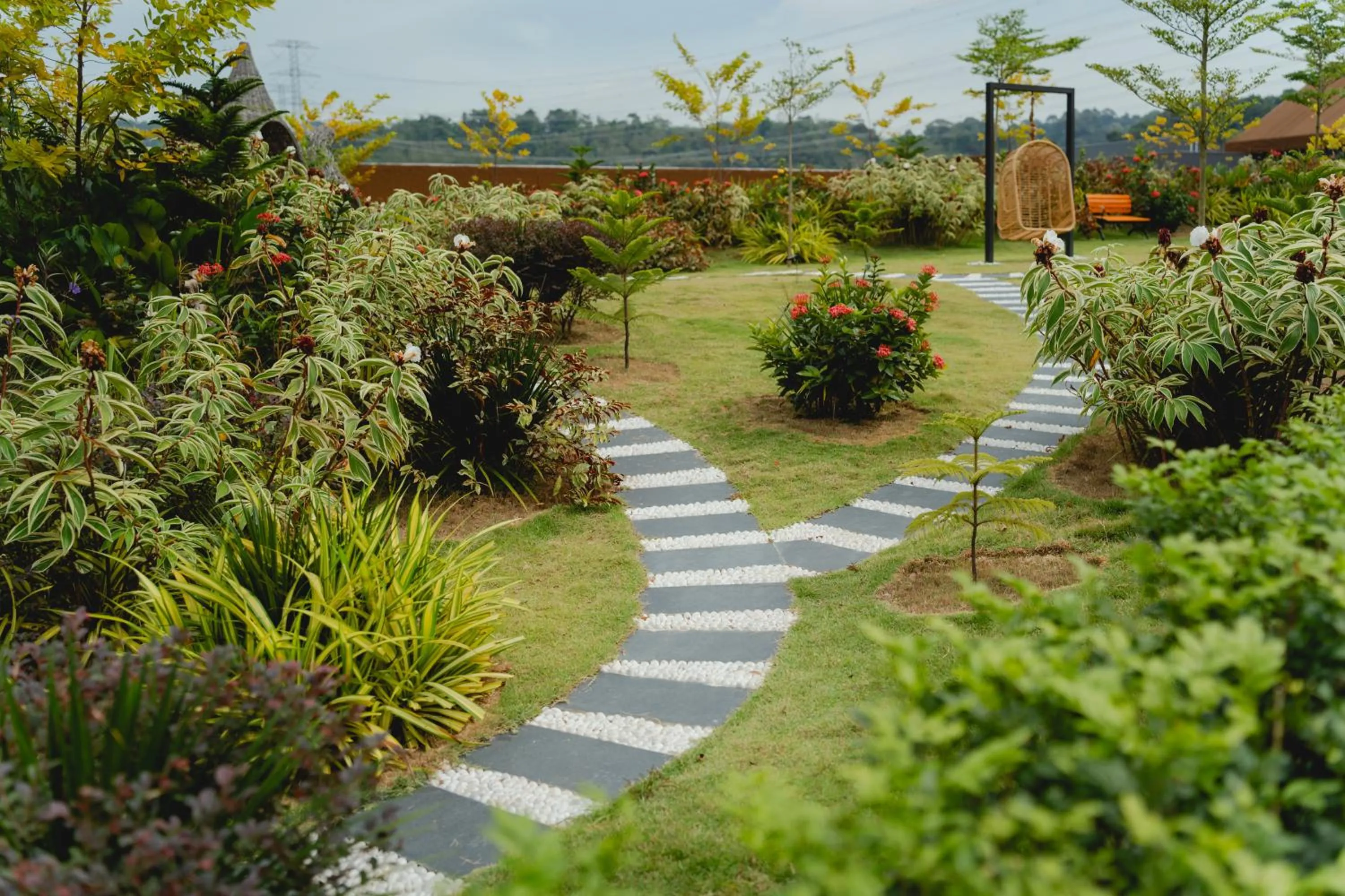 Garden in Monkeys Canopy Resort
