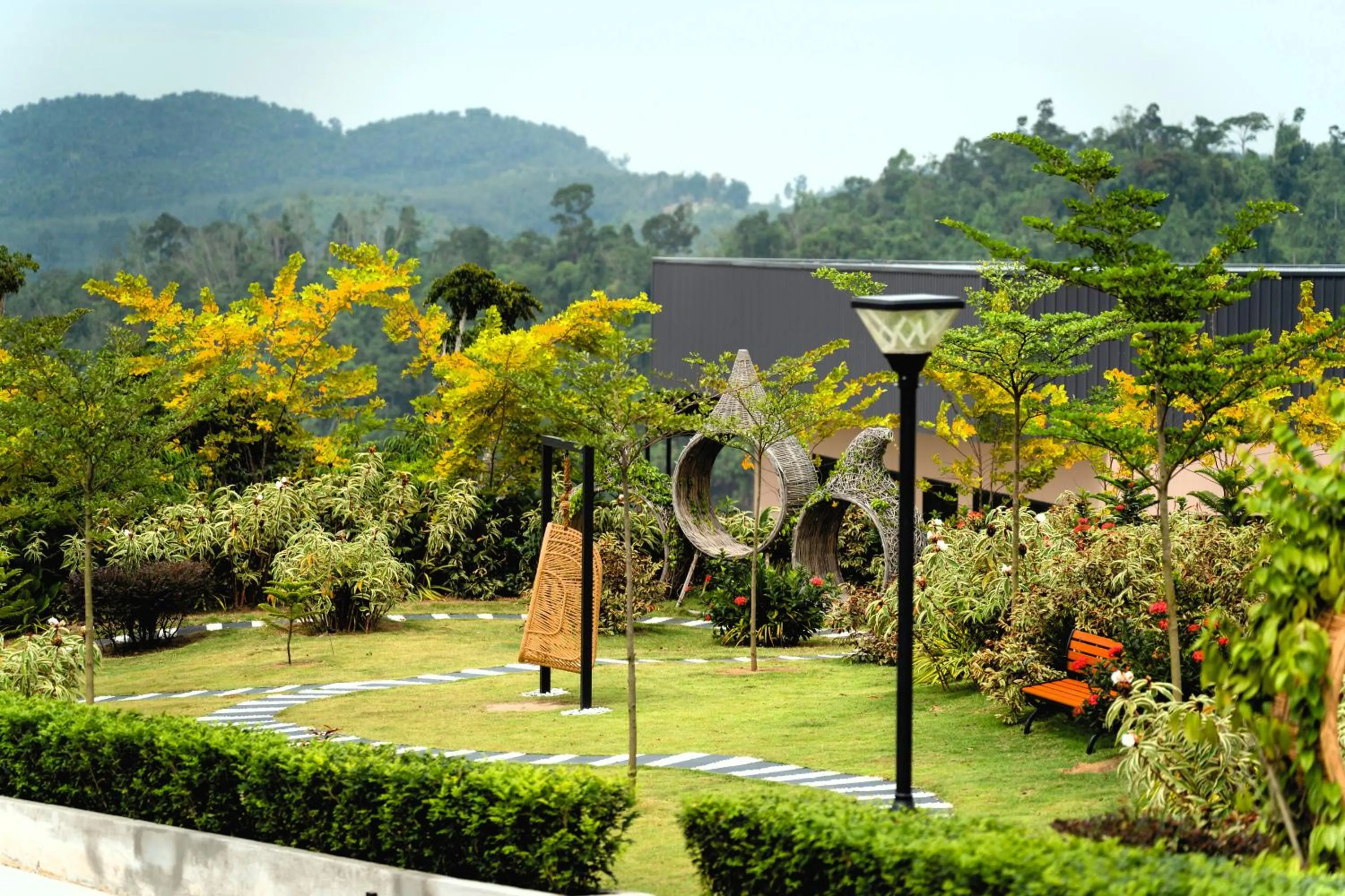 Monkeys Canopy Resort