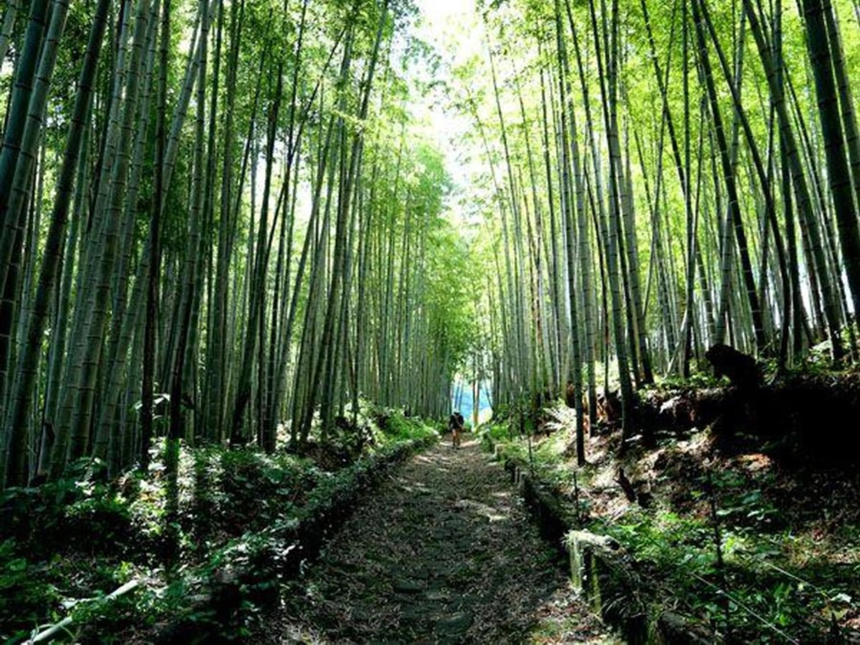 Nearby landmark in Grids Premium Hotel Kumamoto