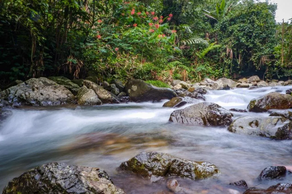 Rizen Premiere Hotel