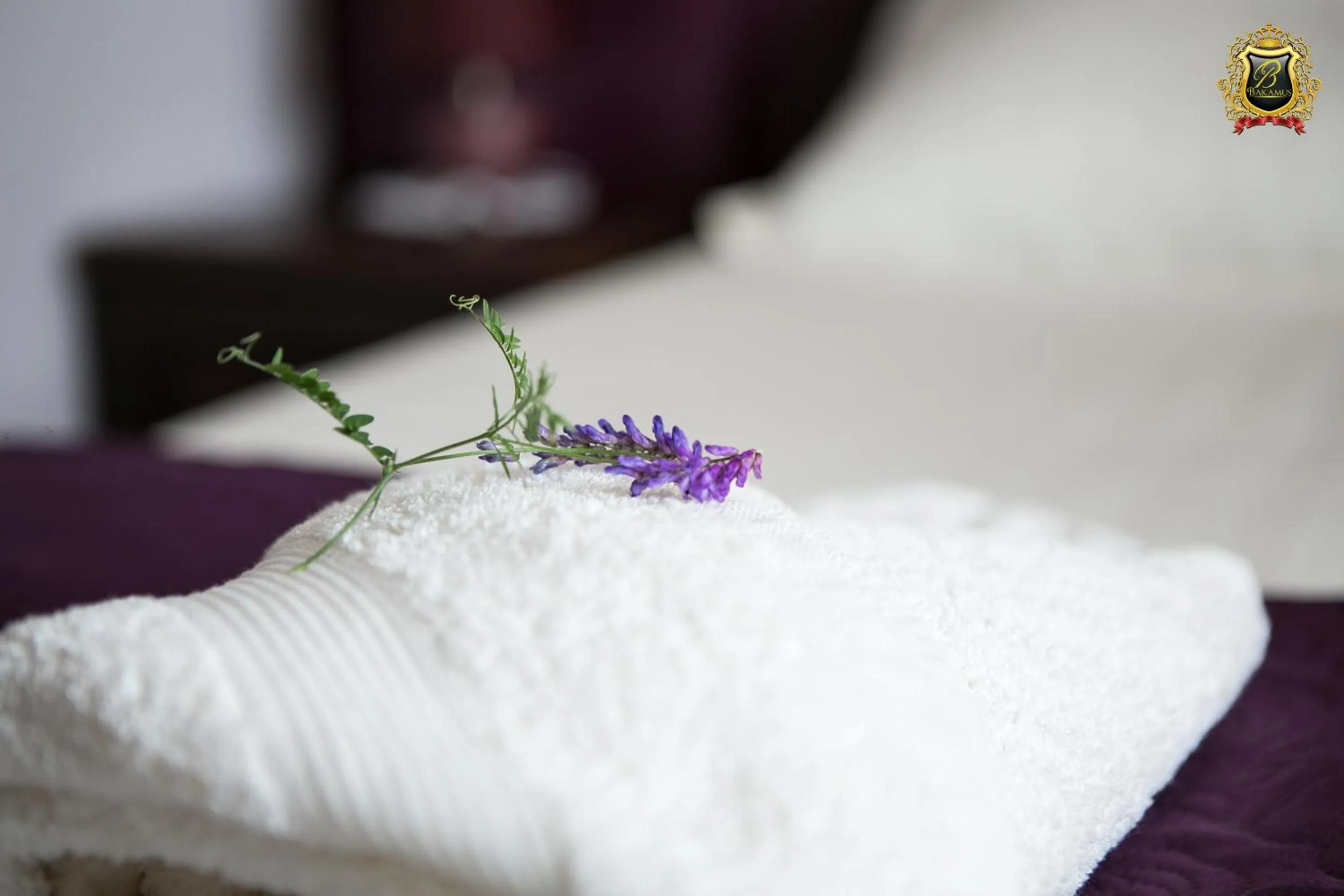 Day, Bed in Rezydencja Bakamus