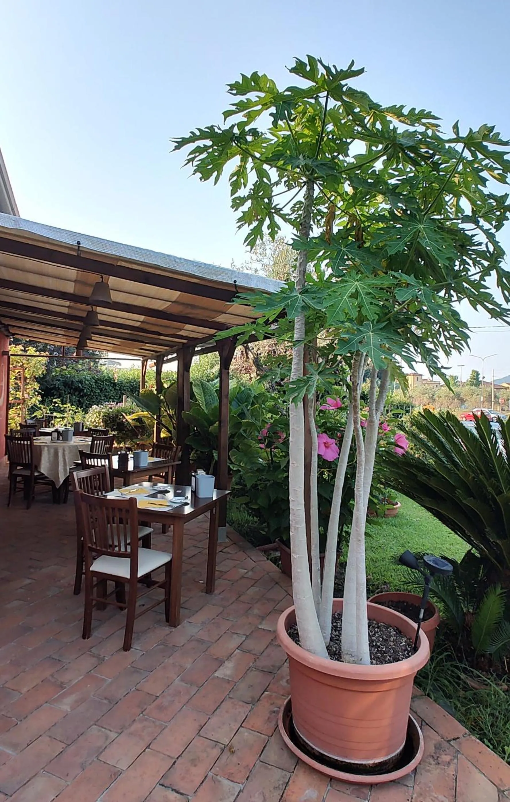 Patio in Albergo la Luna