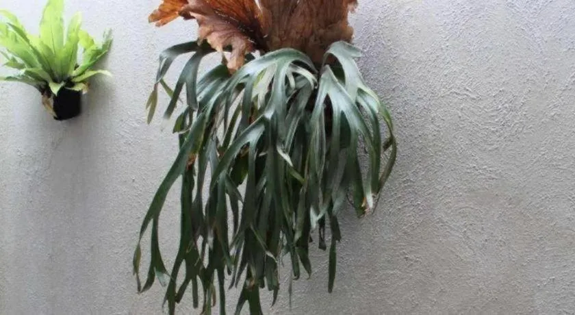 Casa Living Setiabudi Jakarta