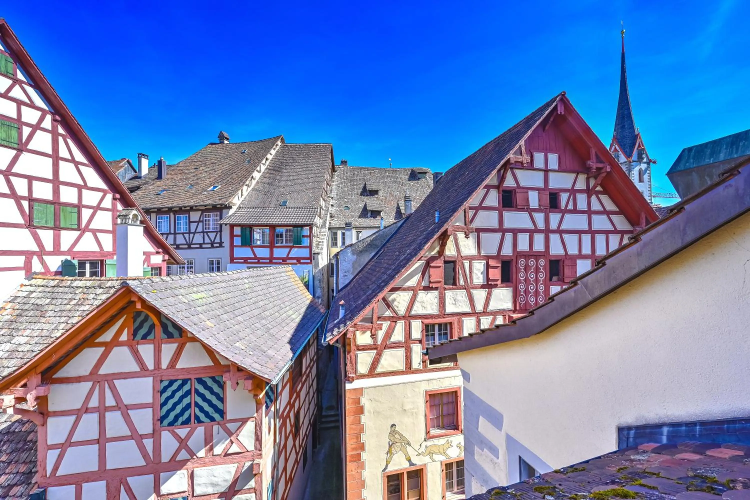 View (from property/room) in Hotel Rheinfels