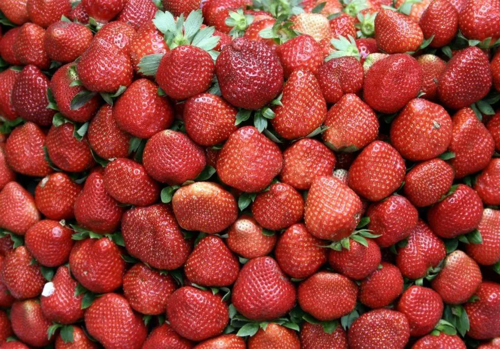 Travelite Express Hotel