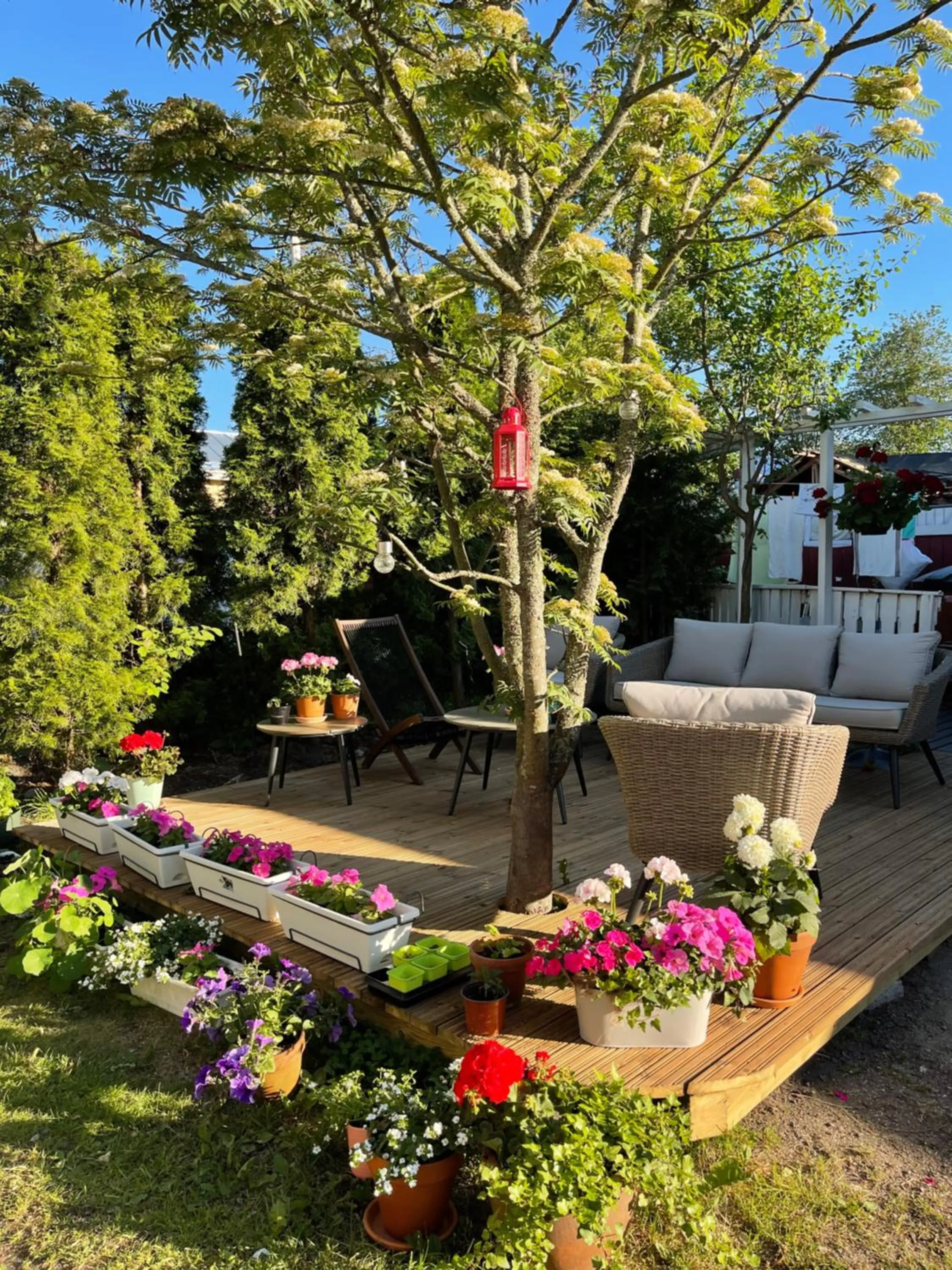 Property building in Hotelli Kaivo