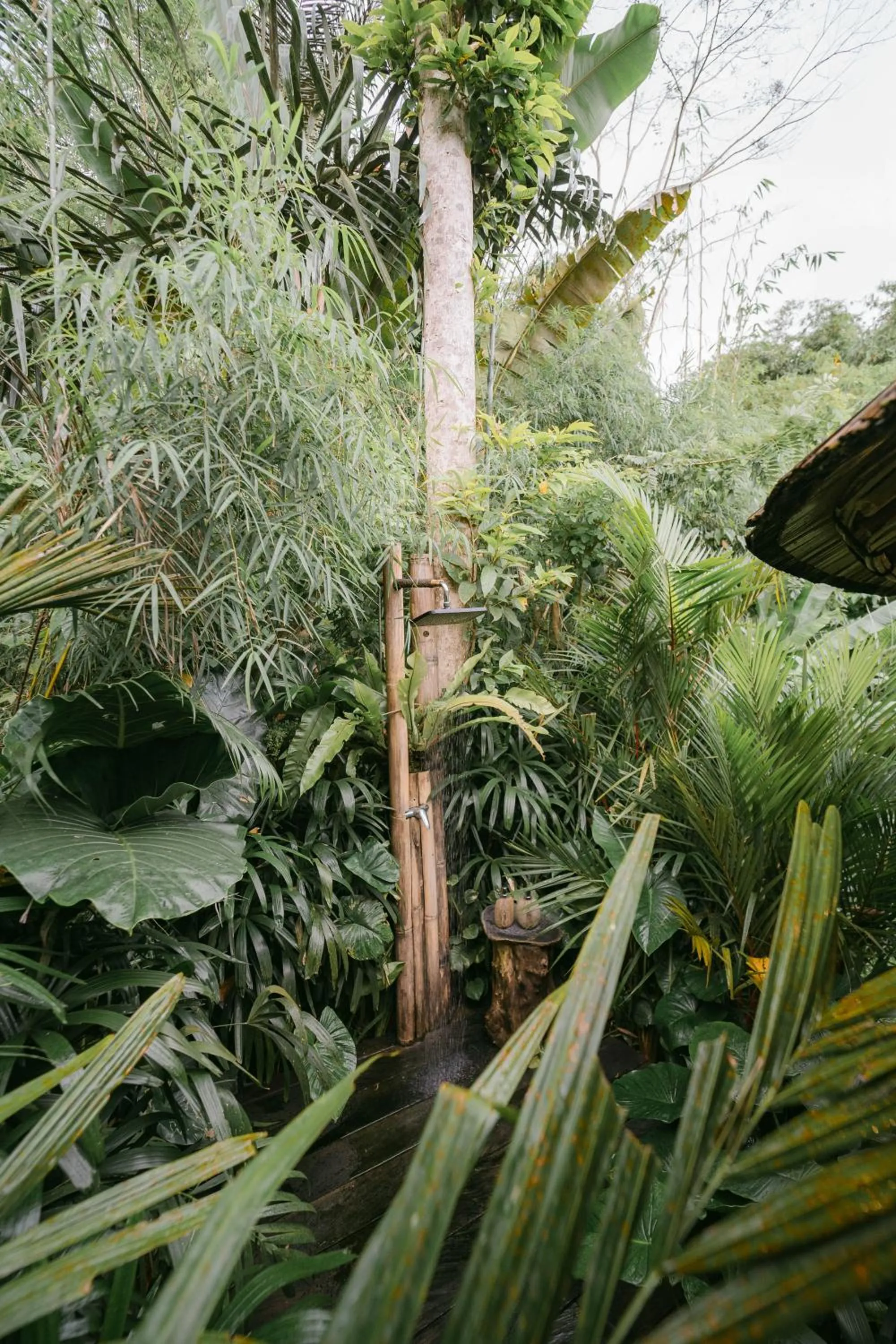 Shower in Arcada Bali Bamboo House