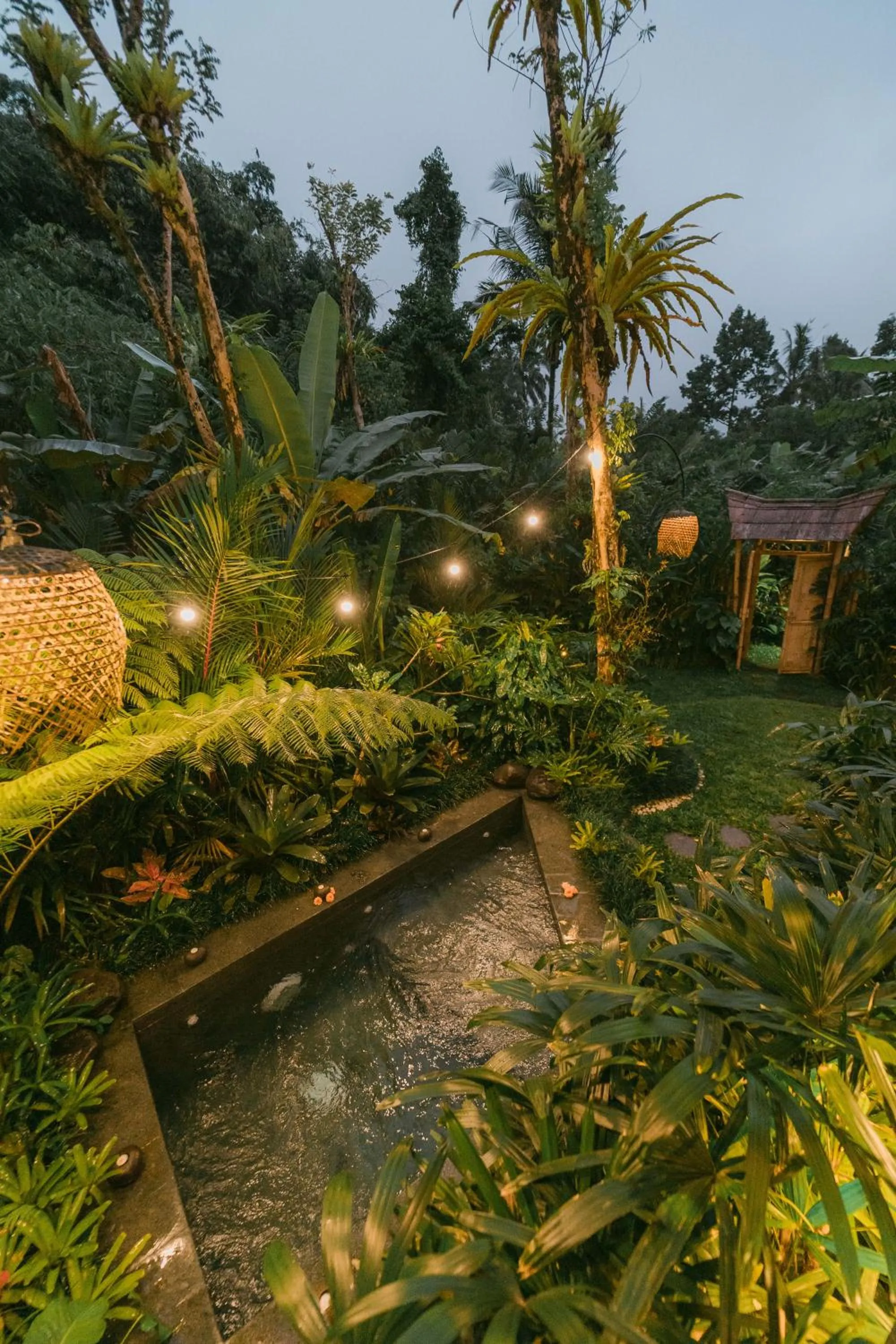 Natural landscape in Arcada Bali Bamboo House
