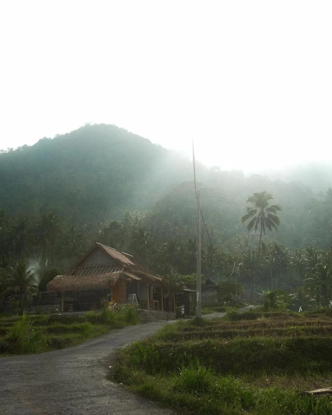 Spring in Arcada Bali Bamboo House