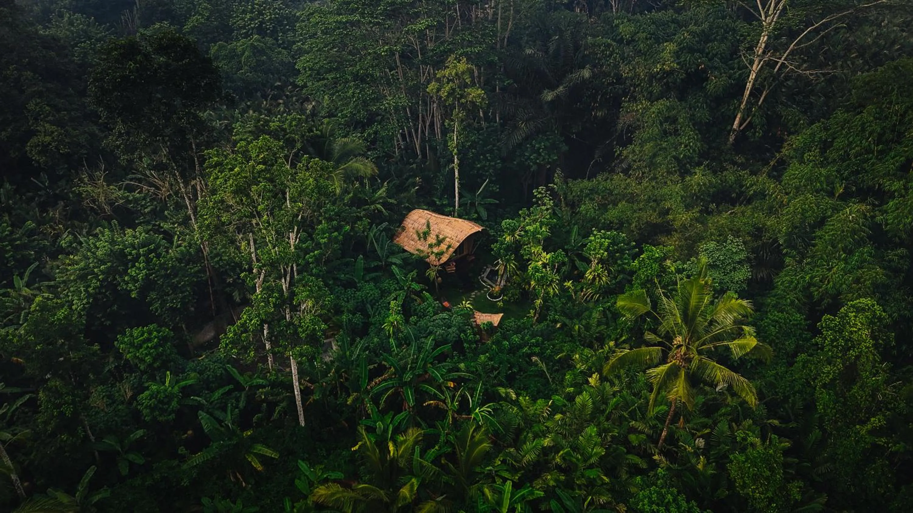 Day in Arcada Bali Bamboo House