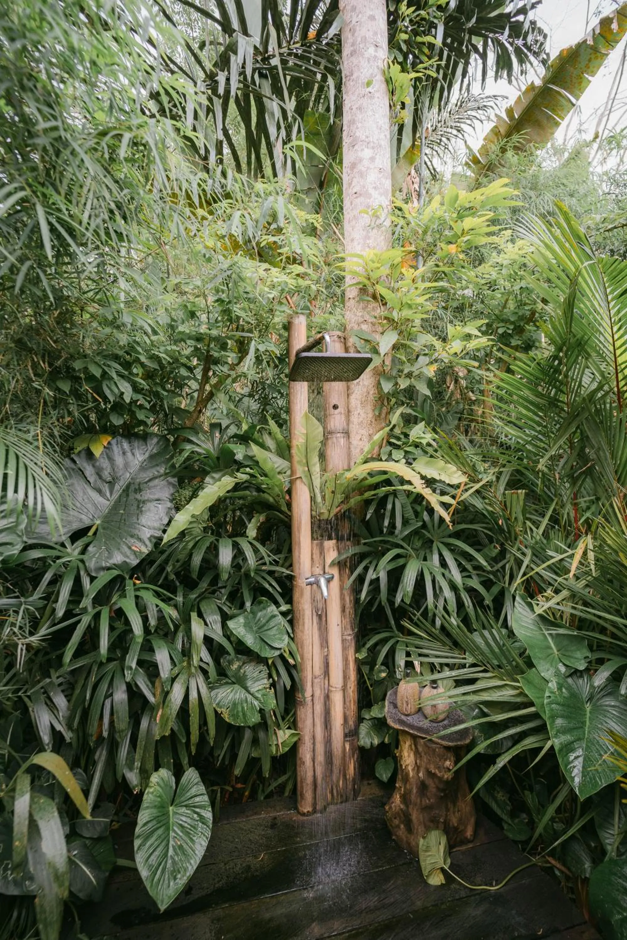 Shower in Arcada Bali Bamboo House