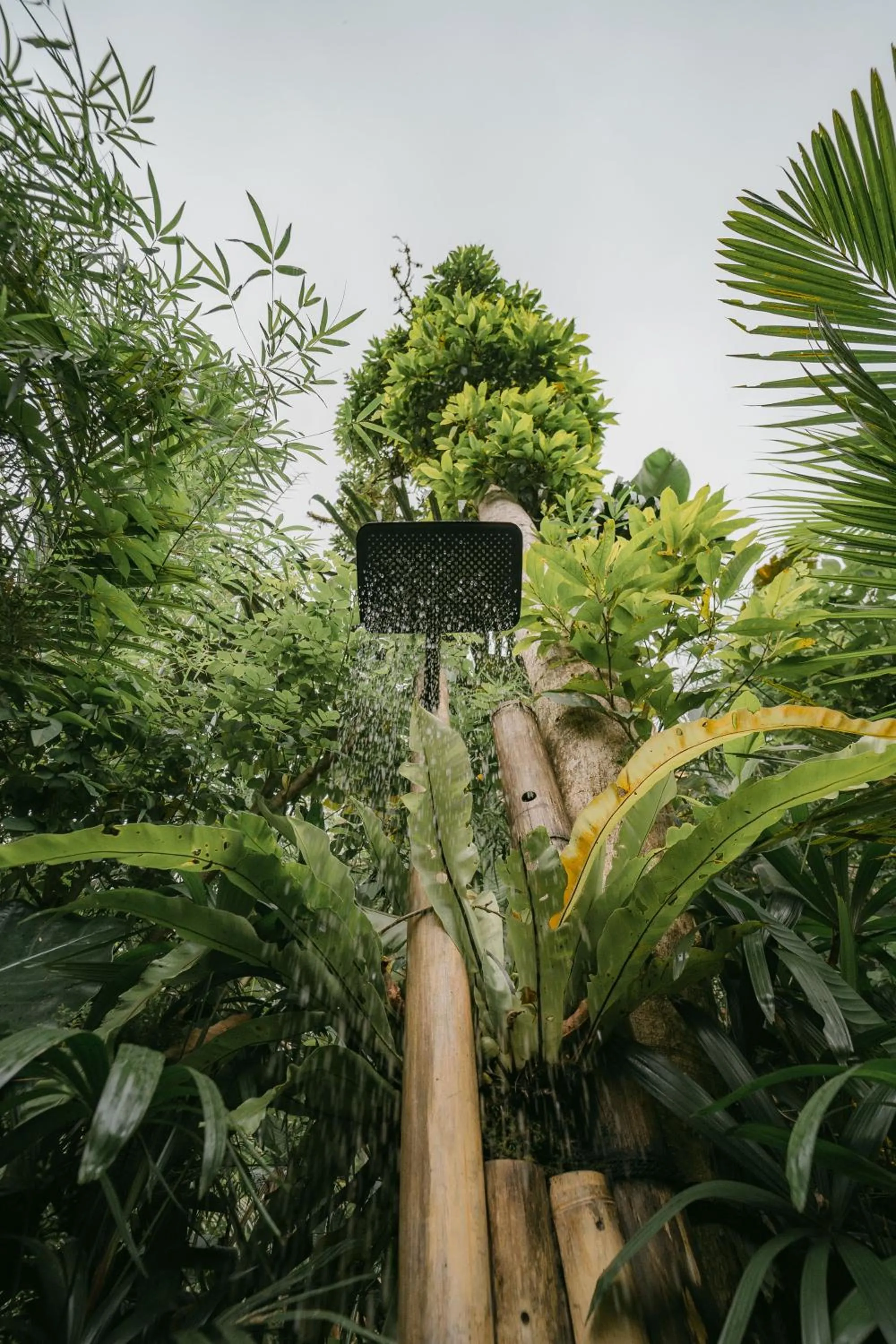 Shower in Arcada Bali Bamboo House